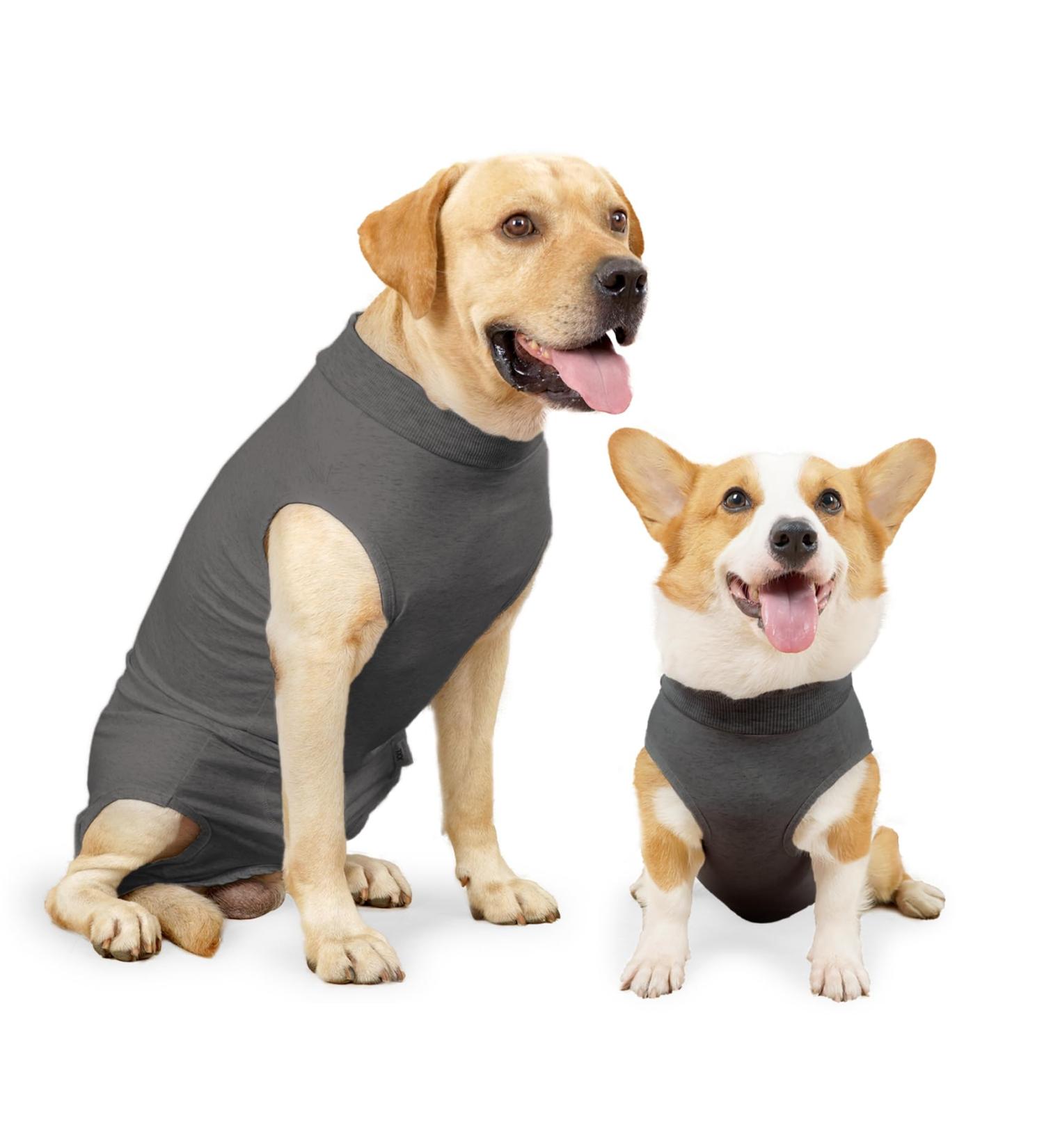 Heywean Dog Recovery Suit - Post-Op Castration Wound Protection for Dogs - Medical Shirt & Surgical Body Suit - XL Gray - Professional Pet Recovery Solution - Buy Online on SooperMarket.com