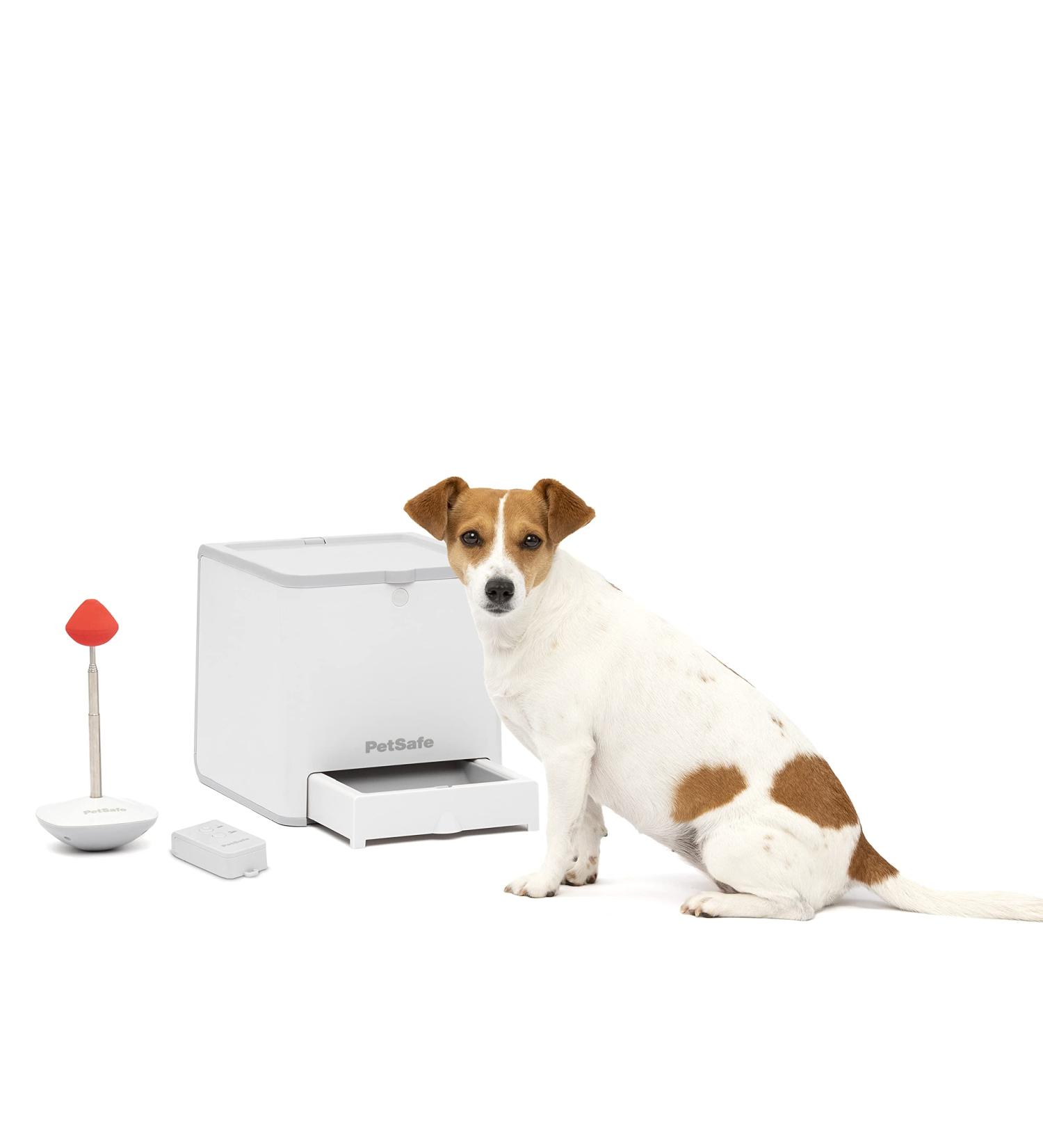 PetSafe Teach & Treat Remote Dog Trainer | Positive Reinforcement & Rewards | International Shipping Available - Buy Online on SooperMarket.com