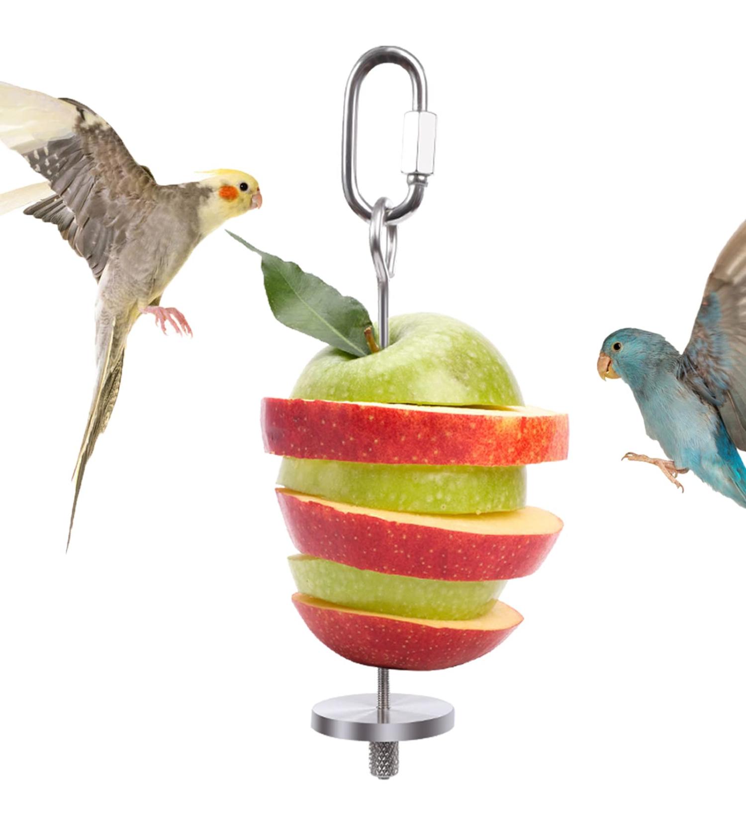 QBLEEV Stainless Steel Bird Food Holder - Parrot Fruit & Vegetable Stick Foraging Toy & Treat Skewer - Buy Online on SooperMarket.com