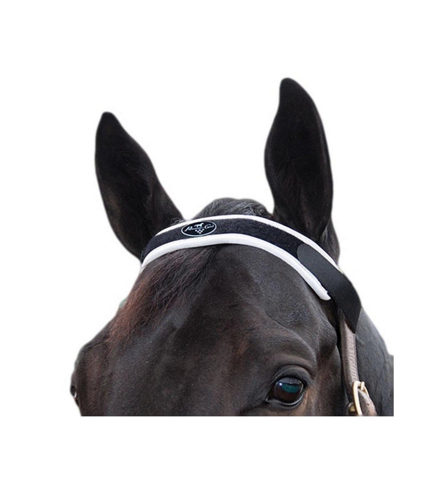 Professionals Choice Magnetic Browband Piece
