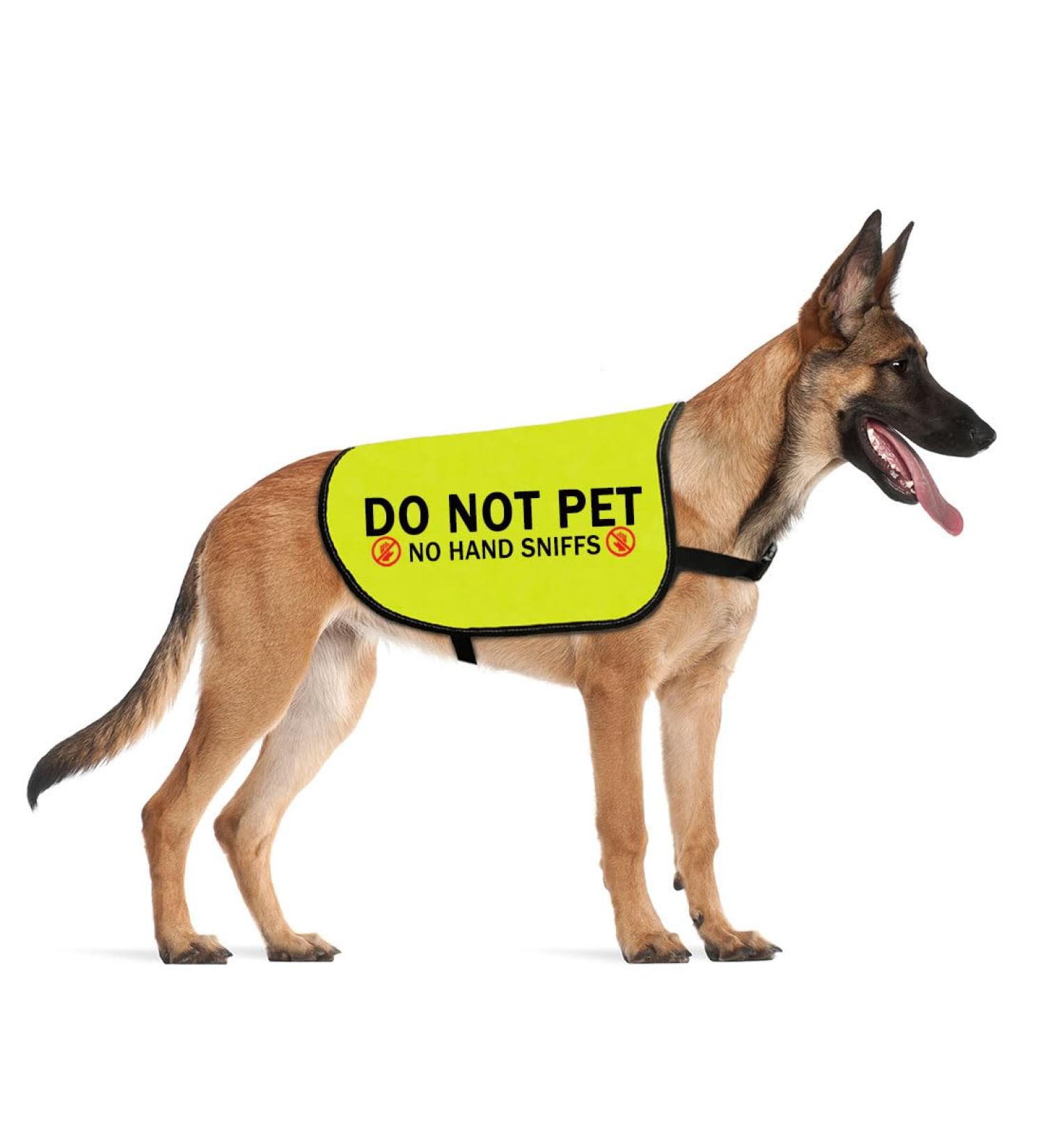 Do Not Pet No Hand Sniffs Dog Jacket Vest Nervous Anxious Dog Slogan Warning Vest (NO HAND SNIFFS Medium) NO HAND SNIFFS M EU - Buy Online on SooperMarket.com