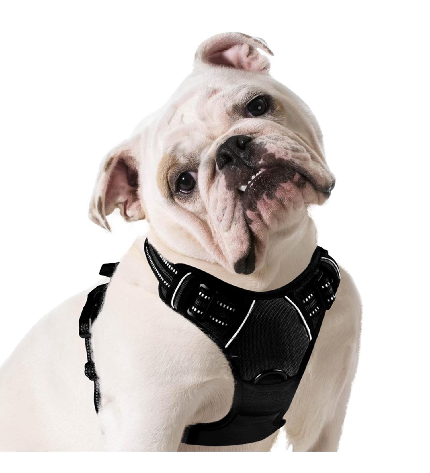 Eagloo Large Dog Harness - Adjustable No-Pull Chest Harness with Reflective Strips for Labrador - Anti-Train Control Black (1 Pack) - Buy Online on SooperMarket.com