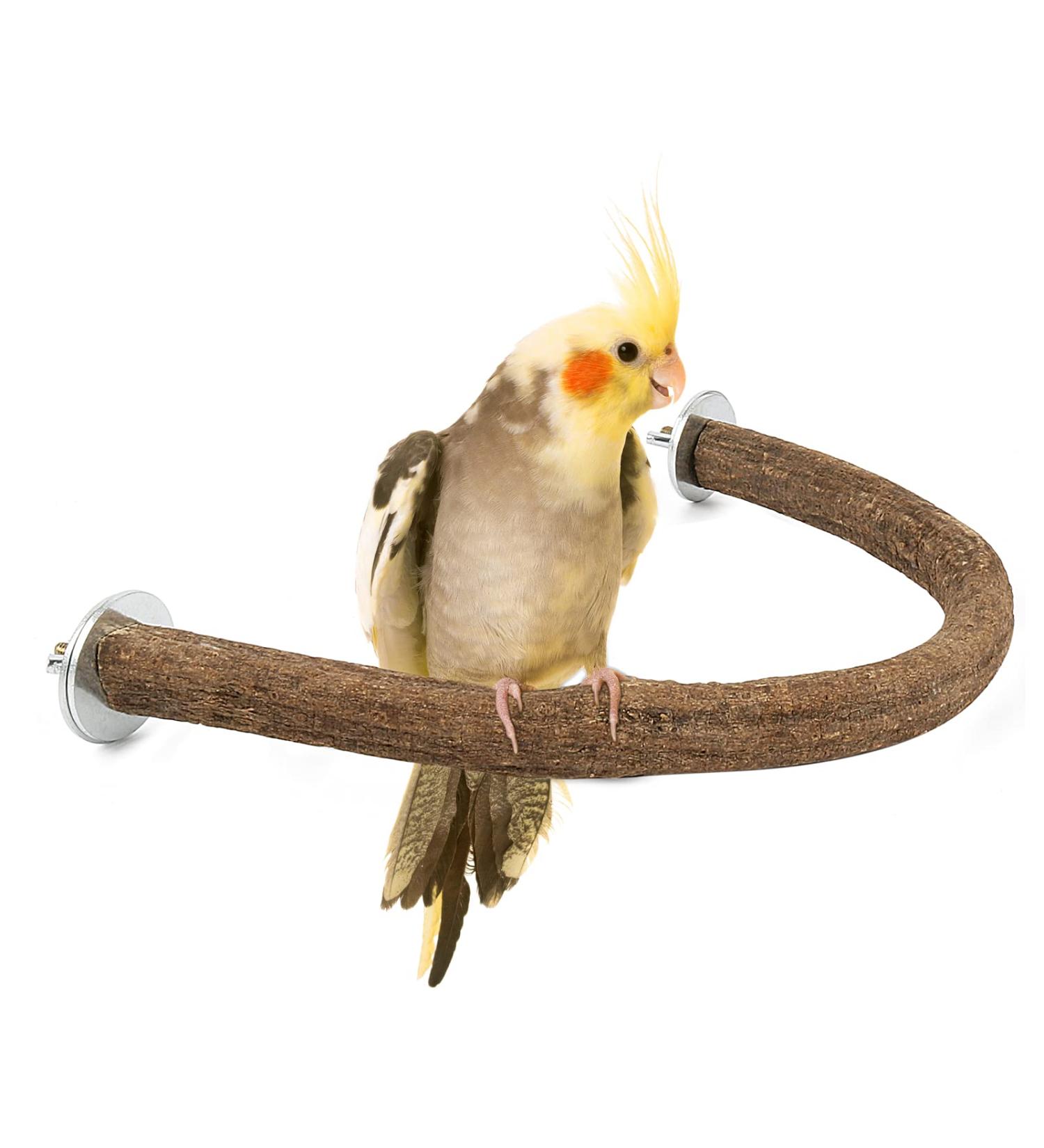 Rypet Parrot Bird Natural Wood Stand Perch Swing - Large U Shape - Buy Online on SooperMarket.com