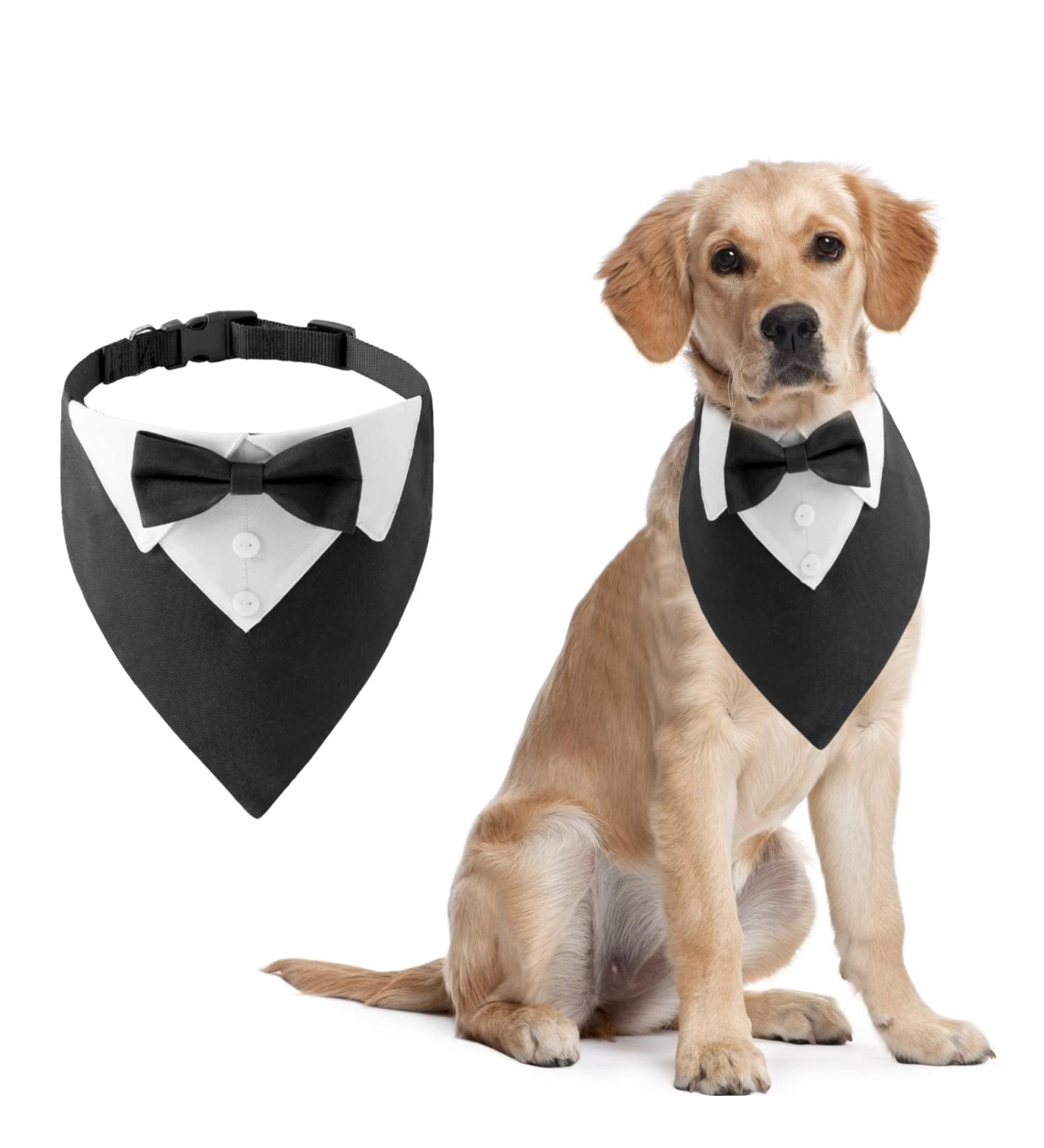 Shop Hacraho Formal Dog Smoking Banda Adjustable Black Wedding Collar with Fly & Tie for Medium to Large Dogs - Buy Online on SooperMarket.com