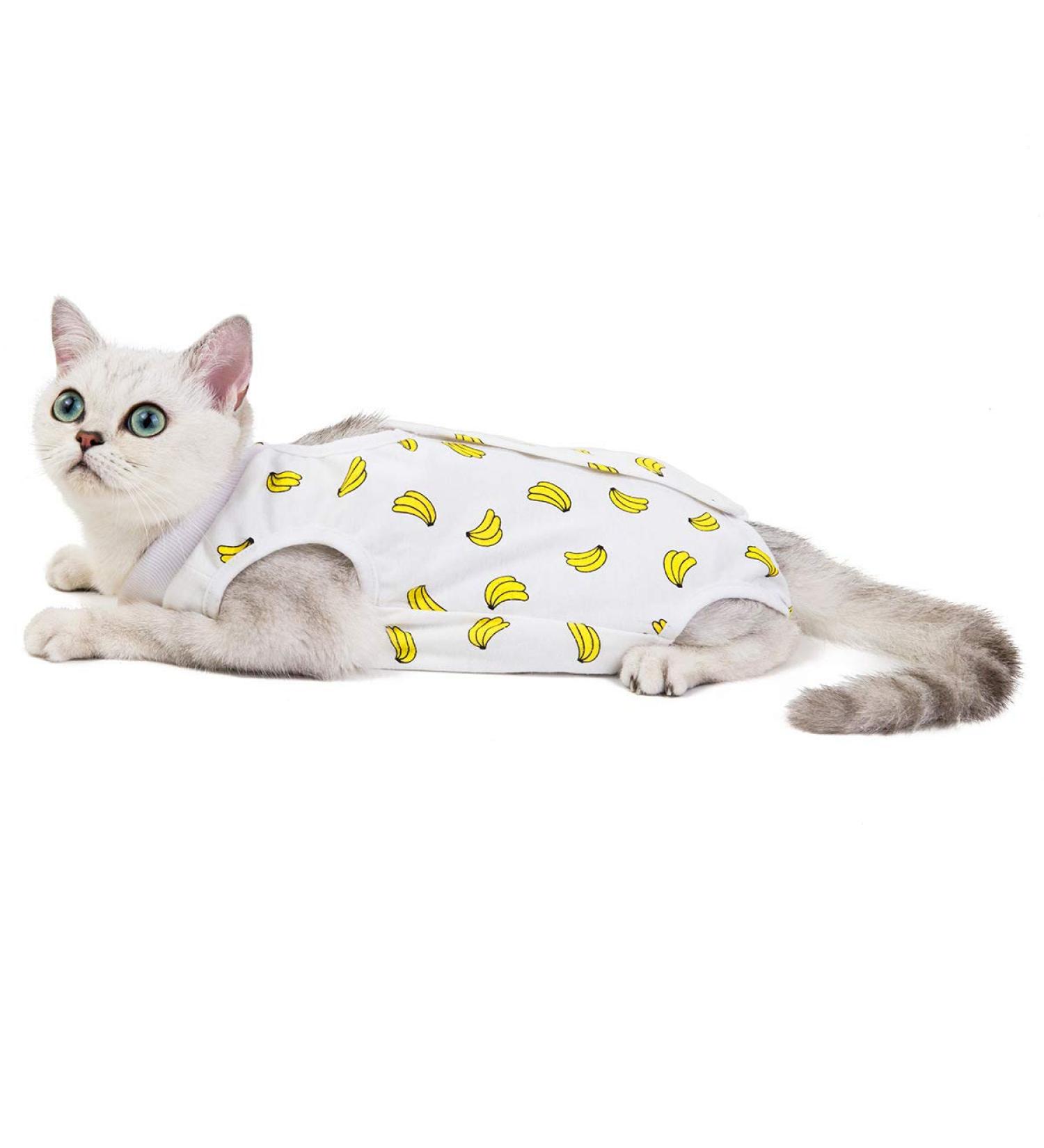 NashaFeiLi Professional Cat Recovery Suit for Abdominal Wounds and Skin Diseases E-Collar Alternative for Cats Dogs (Banana L) Banana L--Back length 35cm - Buy Online on SooperMarket.com