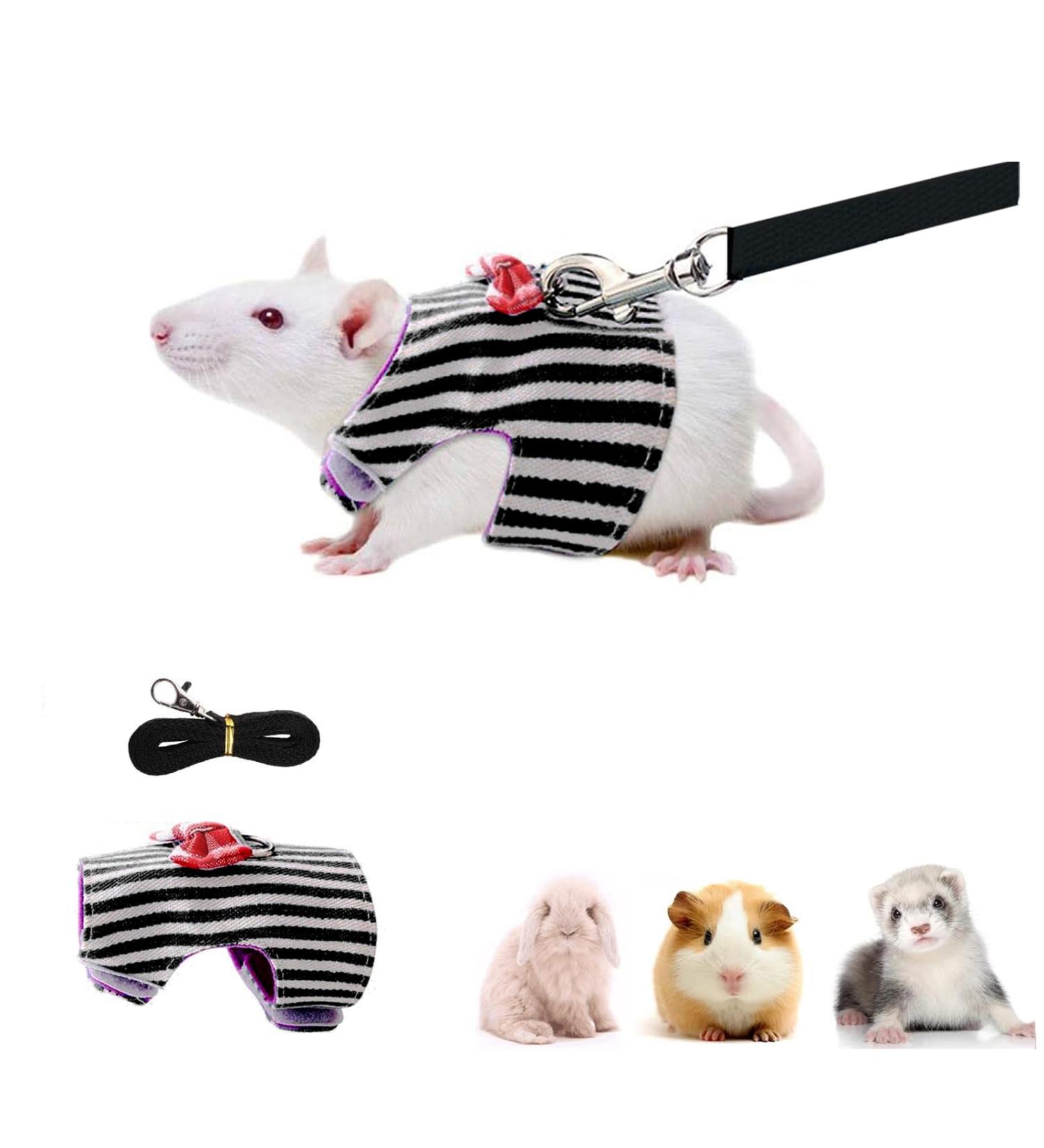 Small Animal Harness Velcro Hamster Harness and Leash Set for Walking Small Animal Chest Straps for Bunny Rabbits Ferret Guinea Pig Chinchilla Puppy Kitten Harness(S) - Buy Online on SooperMarket.com