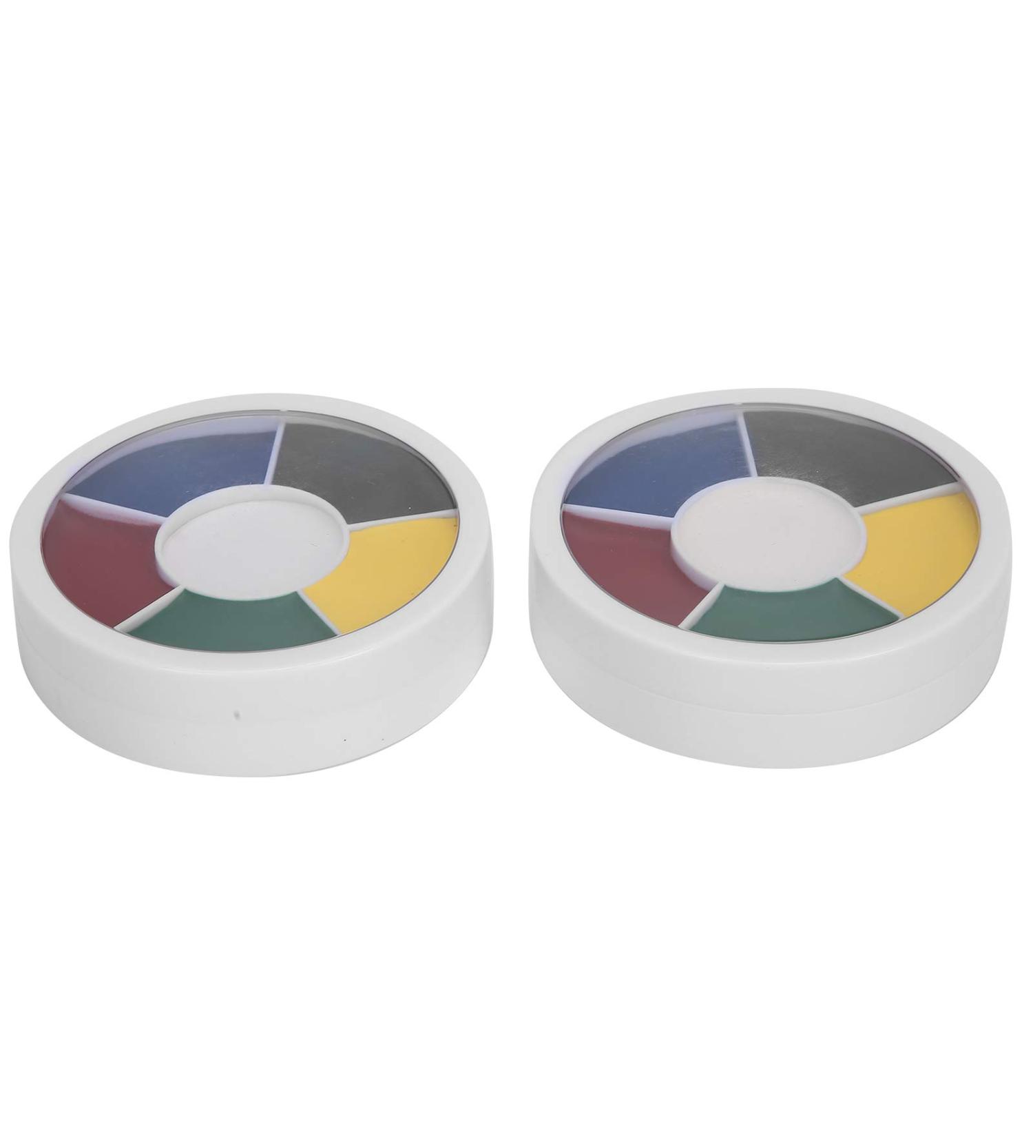 2pcs Color Oil - Special Effect Bruise Paint for Body & Face Makeup | Film Shooting Tool - Buy Online on SooperMarket.com