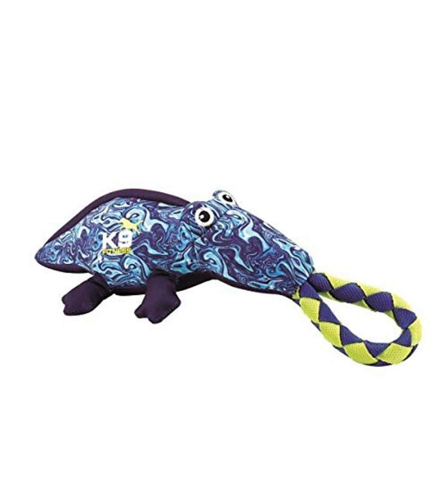 Zeus K9 Fitness Hydro Alligator Small Dog Toy