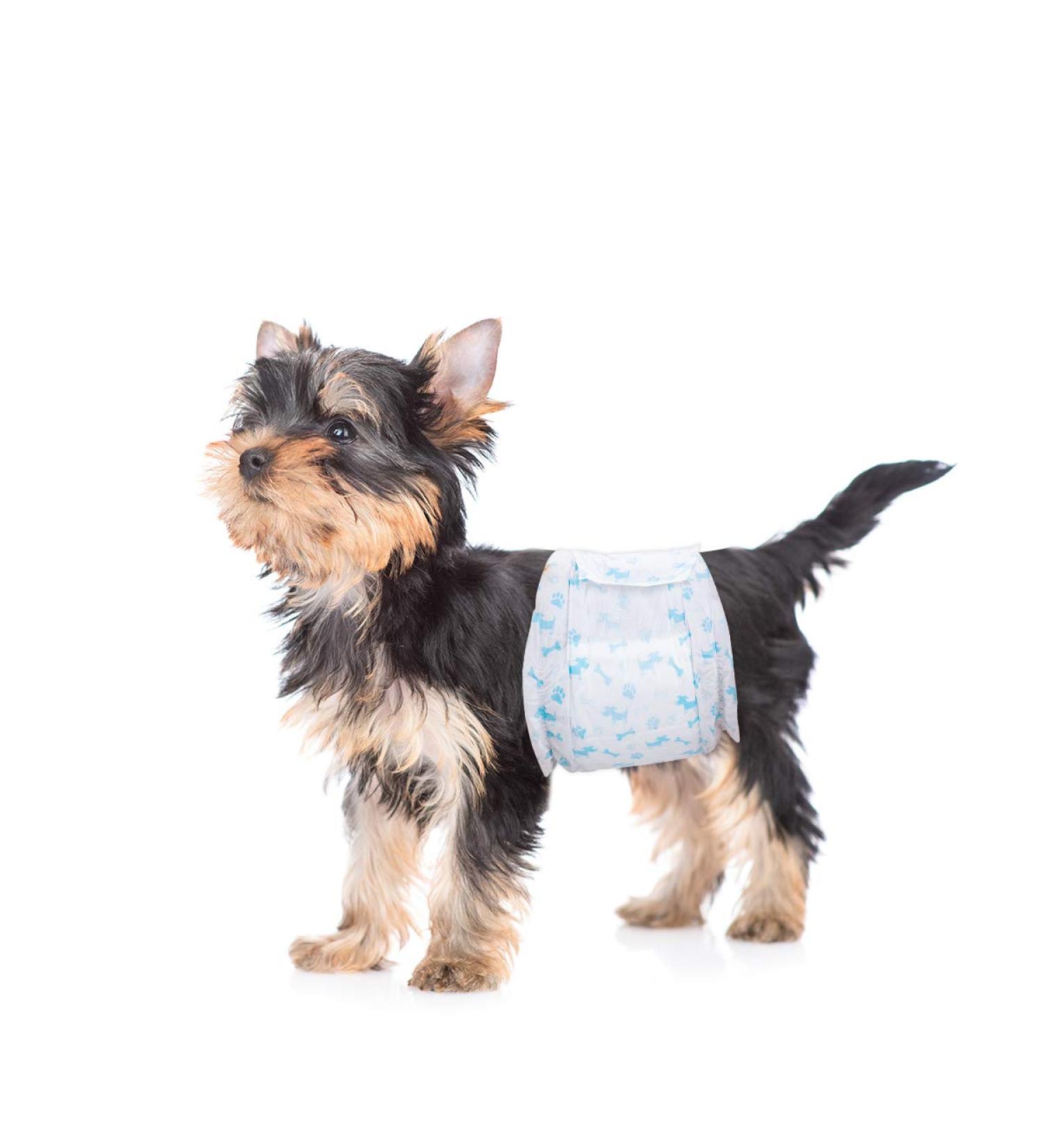 26pcs XS Disposable Dog Diapers for Male Dogs | Fits 15-33cm Waist | Puppy-White - International Shipping Available - Buy Online on SooperMarket.com