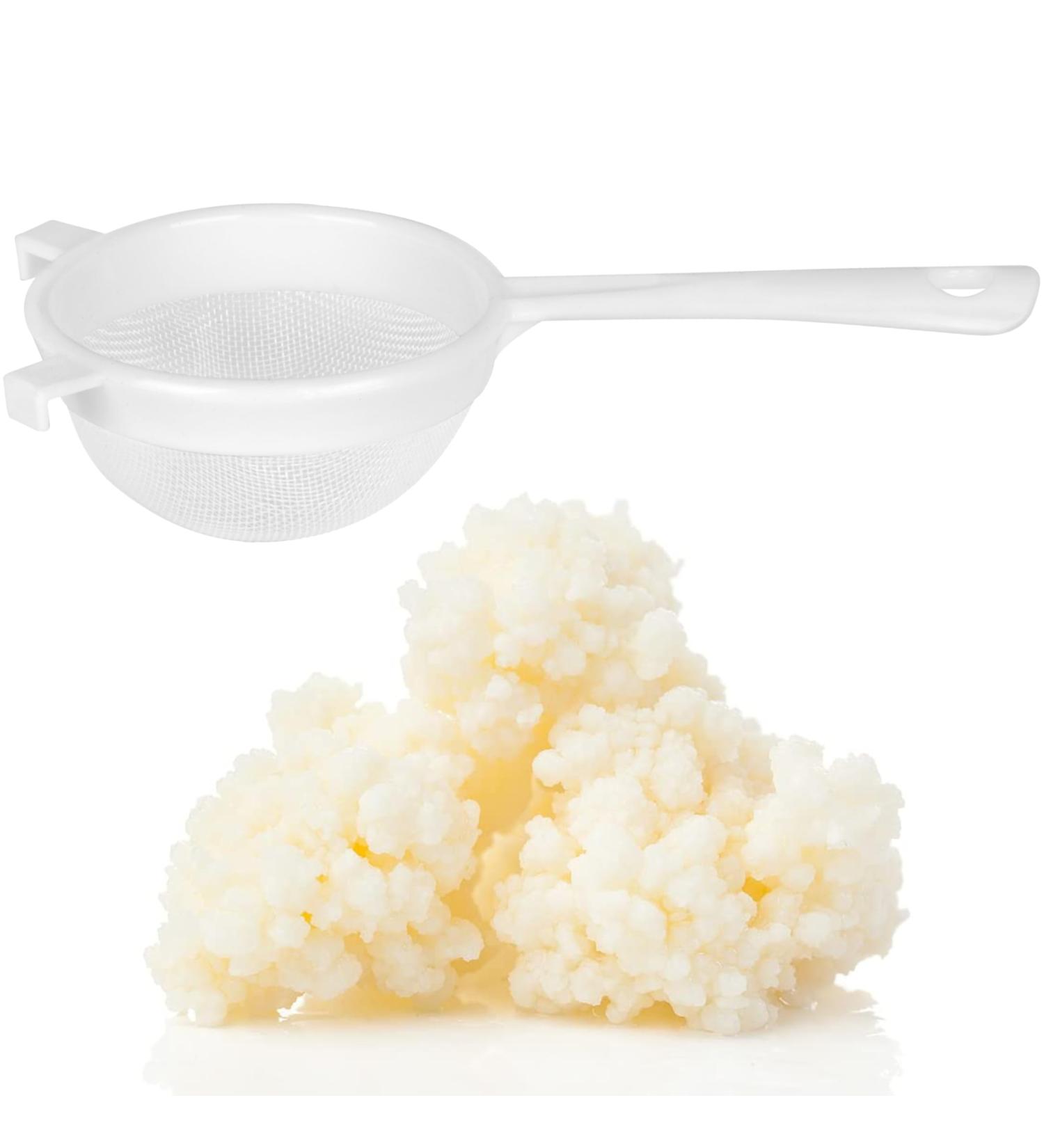 Curly Superfood Bio Kefirilz Set - 10g Organic Kefir Starter Cultures from Germany - Make Real Milk Kefir at Home - Buy Online on SooperMarket.com