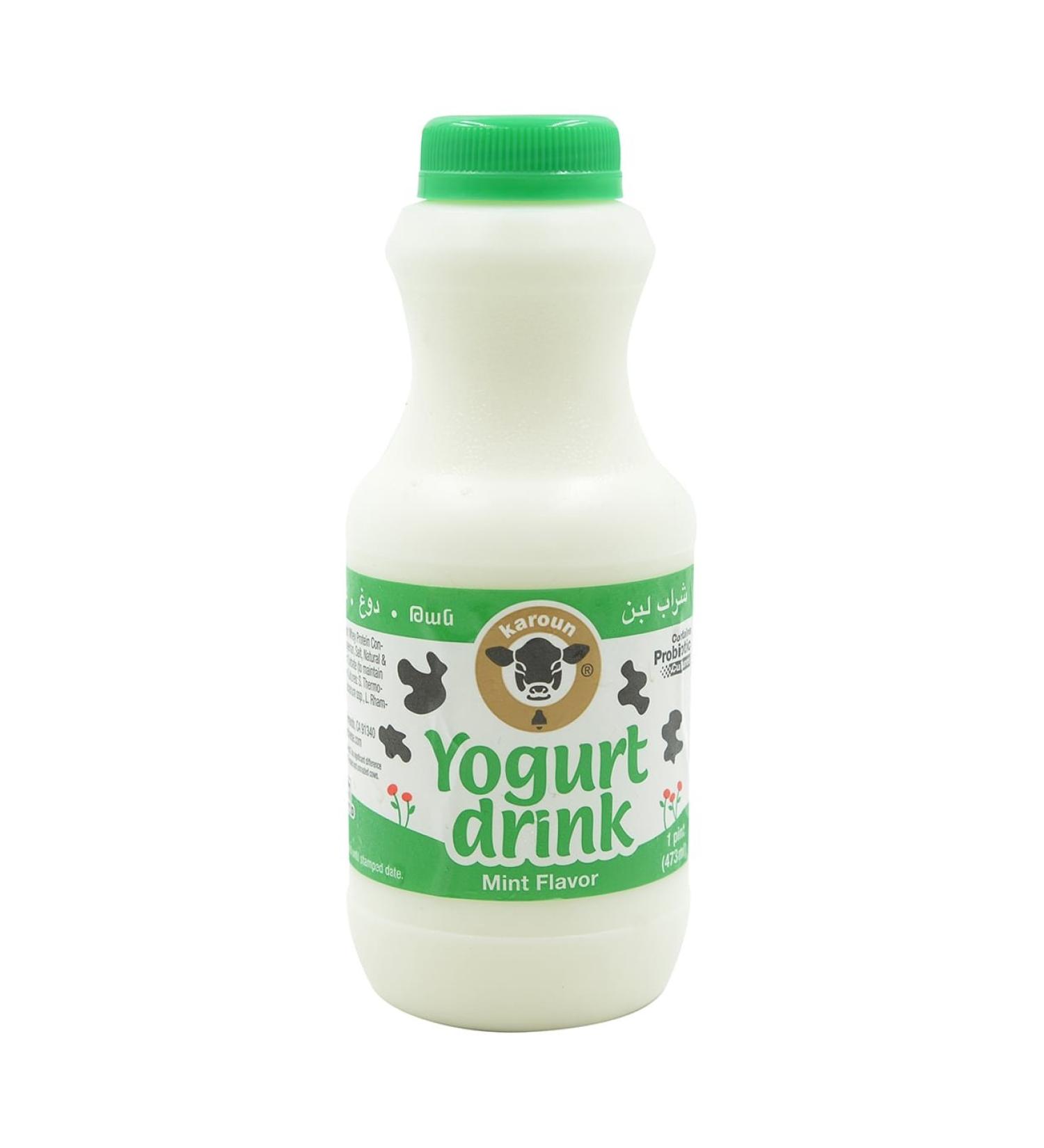 KAROUN Mint Yogurt Drink 16oz - Probiotic Beverage for Digestive Health - Buy Online on SooperMarket.com