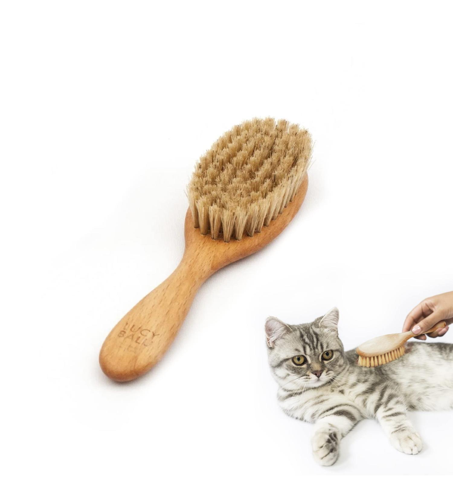 Lucybalu Cat Brush for Short & Long Hair | Natural Bristles & Wooden Handle | Best Cat Grooming Tool | Fellbrush & Katzenkamm - Buy Online on SooperMarket.com