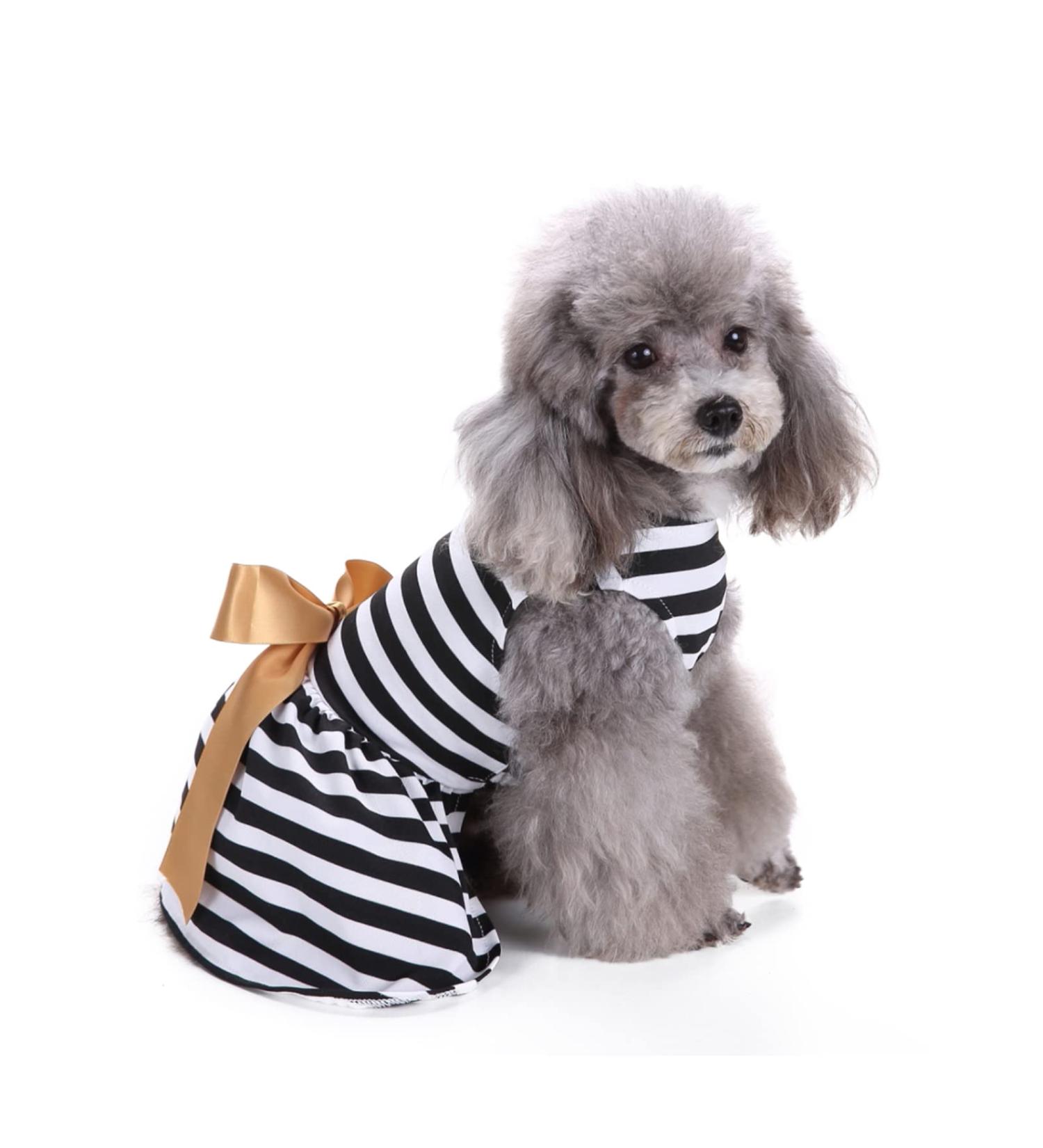 Elegant Petcute Dog Dress - Summer Tutu for Little Dogs with Bowknot & Flower Design | XS Black & White Stripes - Buy Online on SooperMarket.com