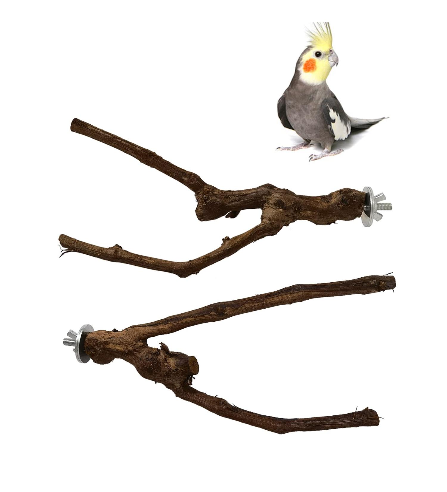 Kathson Parrot Perch Stand - Natural Wild Grape Paw Grinding Pole for Parakeet, Cockatiels, Budgies, Conure, Lovebirds | Bird Cage Accessories - Buy Online on SooperMarket.com