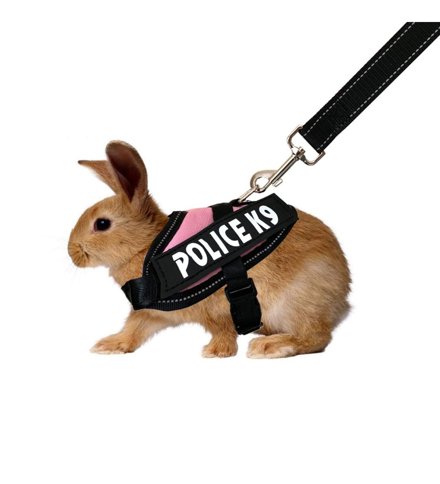 Vehomy Pink Rabbit Harness & Leash for Rabbits Cats & Small Animals - Ideal for International Shipping - Buy Online on SooperMarket.com