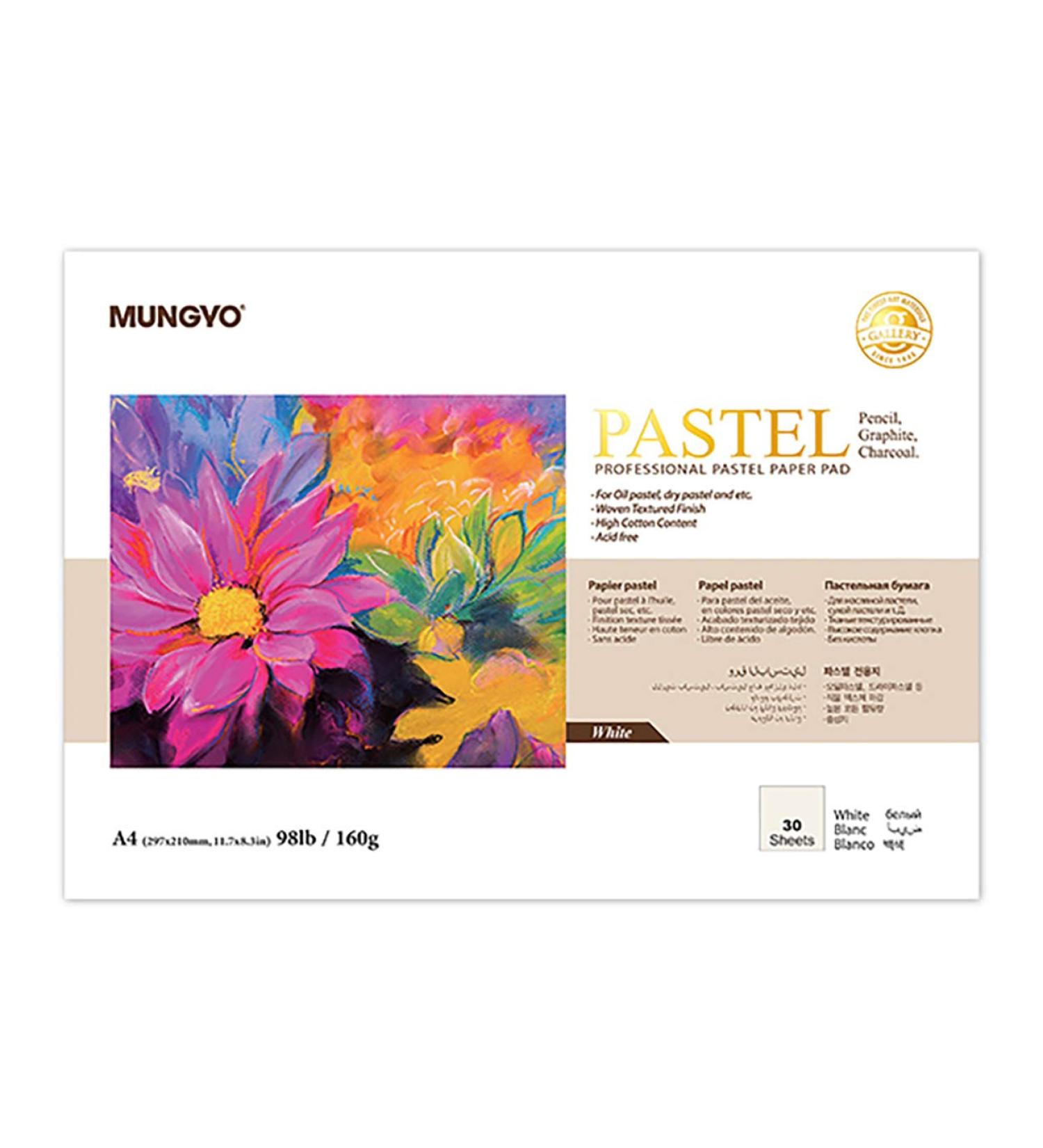 MUNGYO Professional Pastel Paper Pad A4 Size - 30 Sheets | Ideal for Oil Pastel & Dry Pastel | White Surface - Buy Online on SooperMarket.com