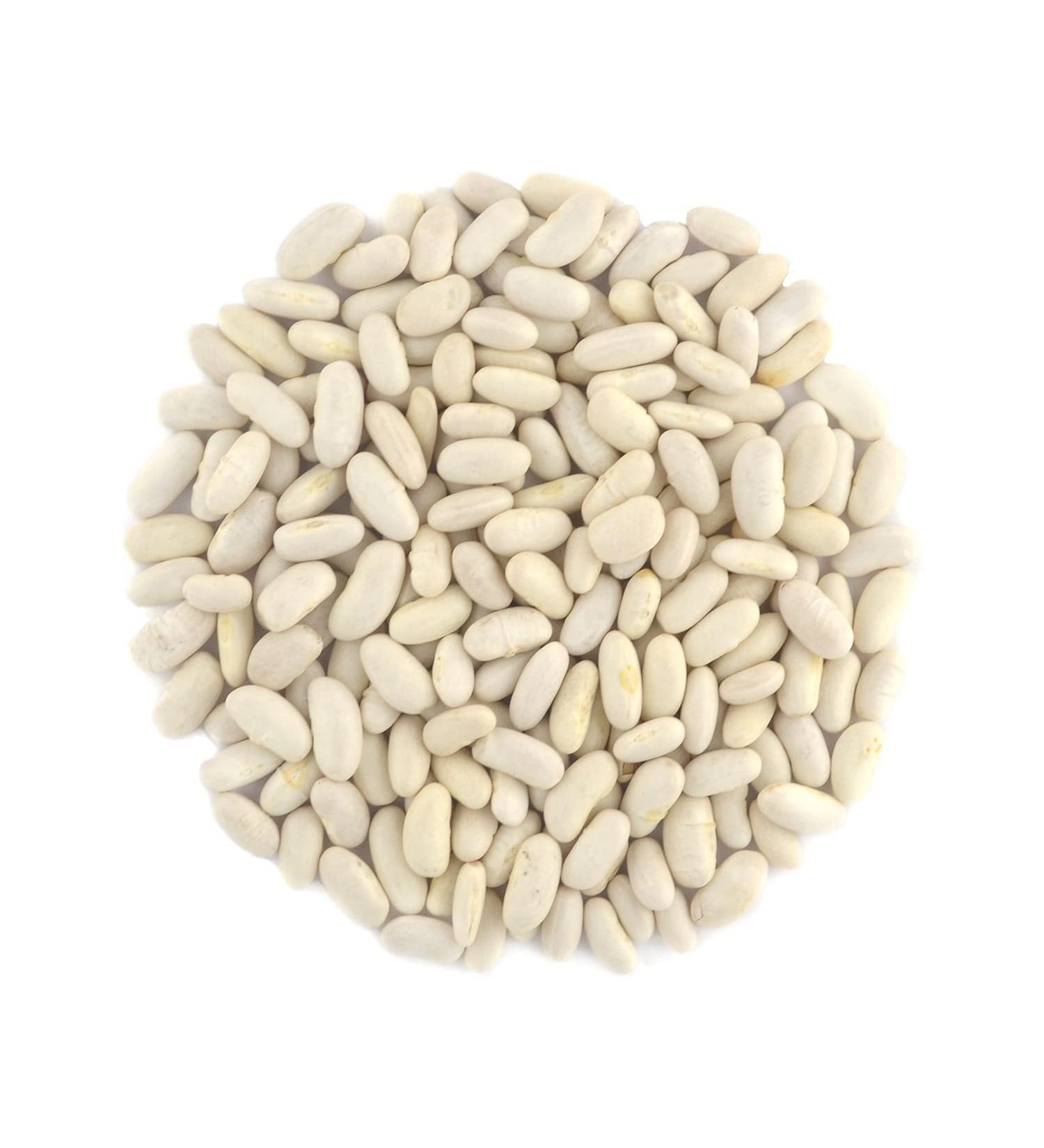Organic Great Northern Beans  Raw  non GMO  Vegan  Bulk (10LB) Organic Great Northern Bean 10 Pound - Buy Online on SooperMarket.com
