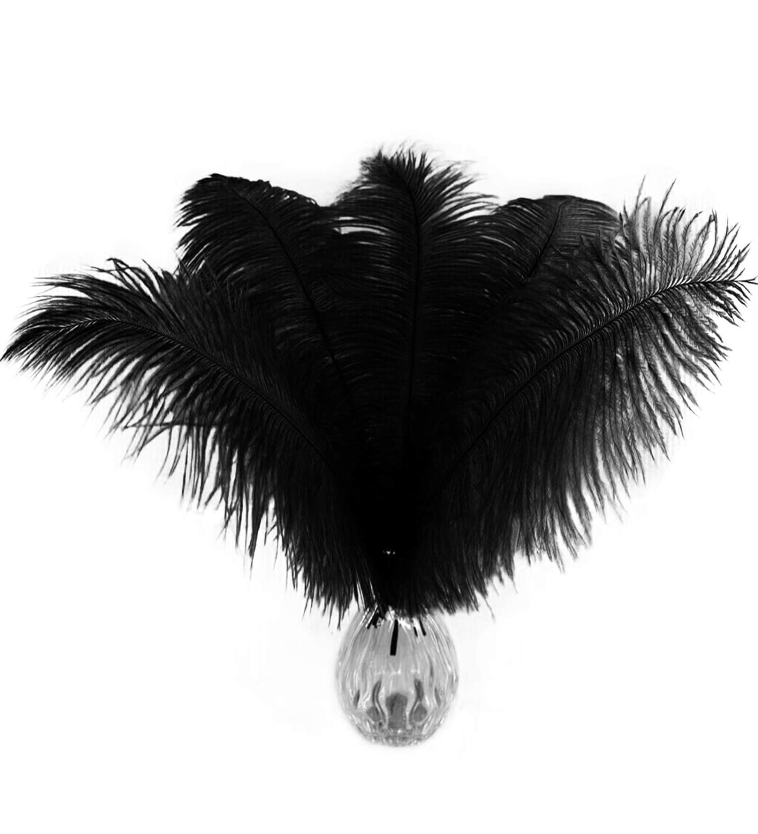 Pioio 20pcs Black Ostrich Feathers Plumes 12-14 inch - Ideal for DIY Halloween & Gatsby Decorations - Buy Online on SooperMarket.com
