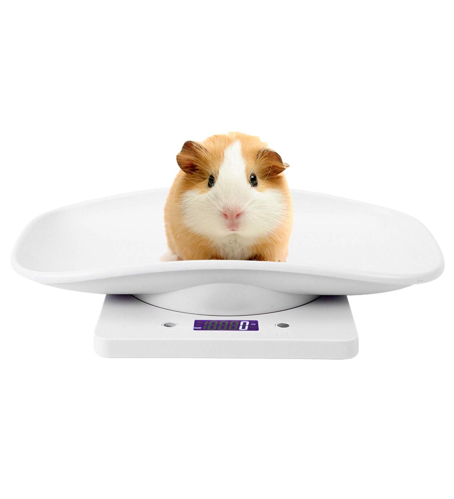 10kg/1g Digital Pet Scale with 3 Weighing Modes Pet Scale to Measure Dog Multi-Function Baby Scale for Weighing Small Pet - Buy Online on SooperMarket.com
