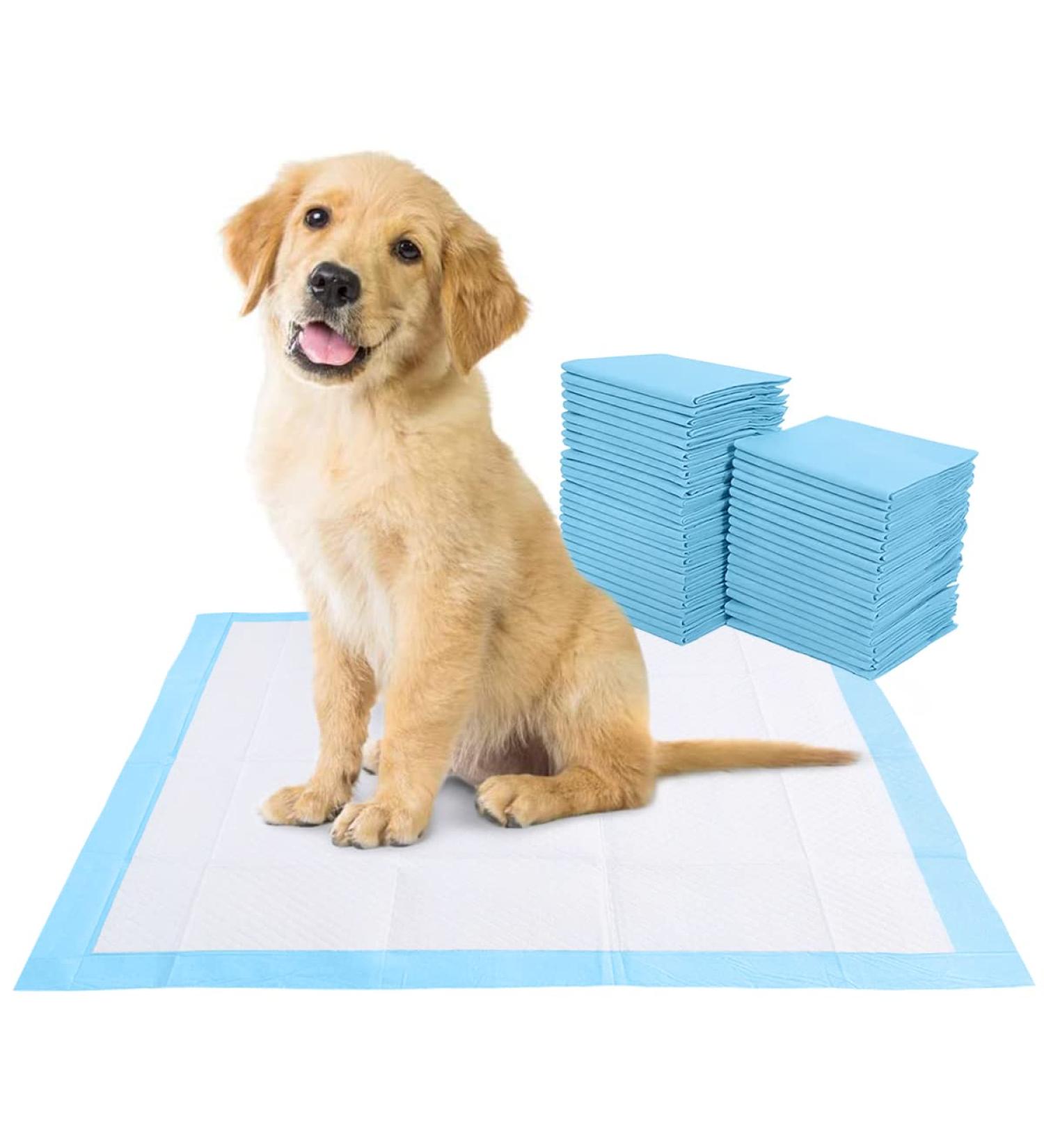 BACTIM Puppy Pads Pack of 50 Super Absorbent Disposable Dog and Puppy Training Pads (60 x 45cm) Multi Layered Leakproof Odour Locking Toilet Trainer Pee Mat for Small to Large Size Pet Incontinence - Buy Online on SooperMarket.com