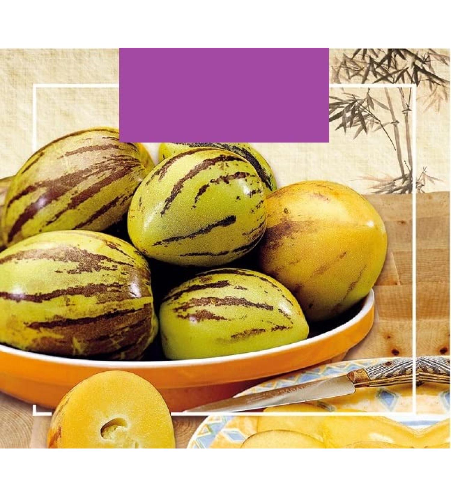 Buzzy Xotica Pepino Melon Pear - Seeds Content: Approx. 15 Seeds - Buy Online on SooperMarket.com