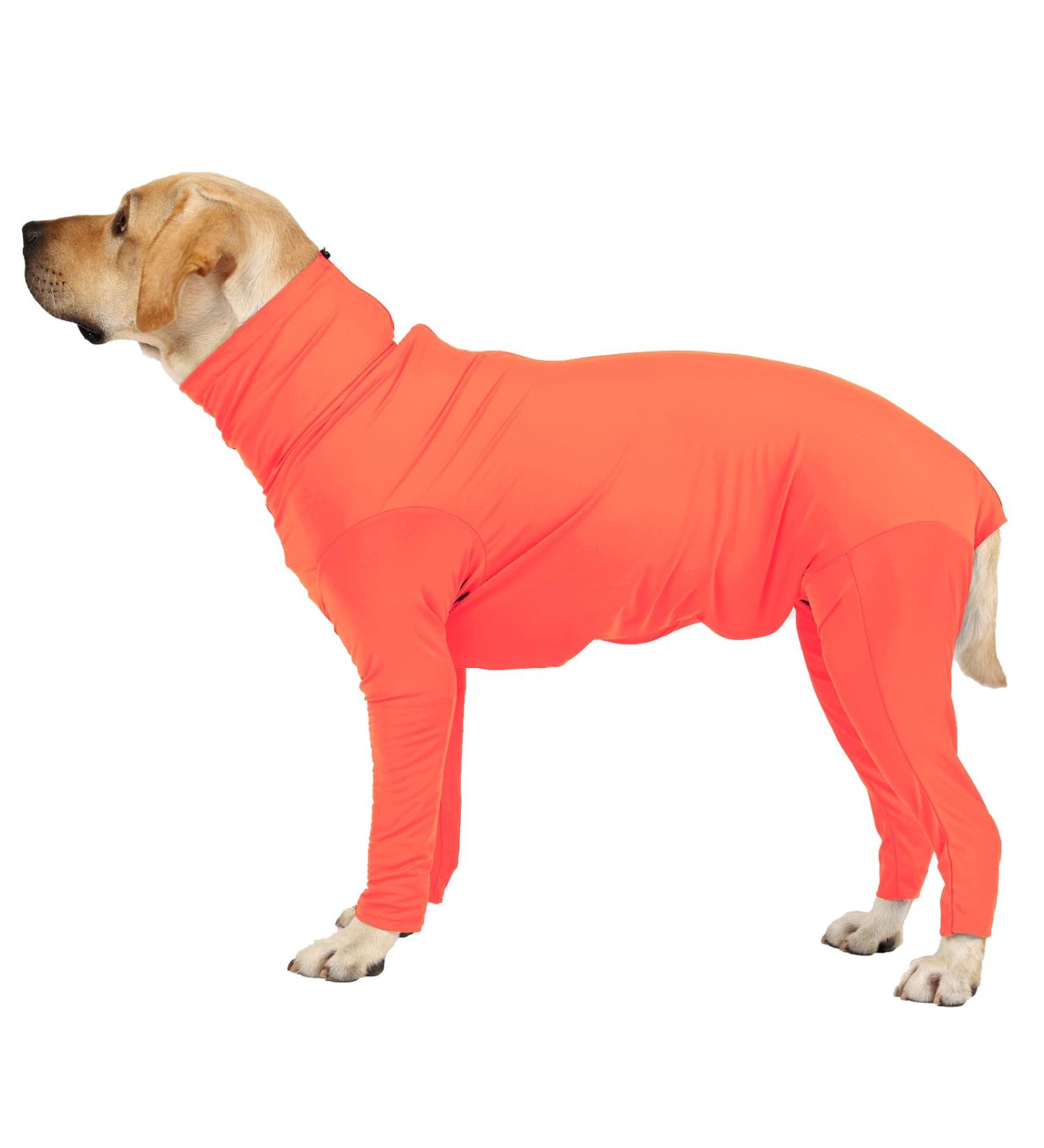 ETDANE Surgical Recovery Suit for Dogs - Anti-Hair Loss Long-Sleeved Pile Suit in XXL Orange - Comfort for Male & Female Dogs - Buy Online on SooperMarket.com