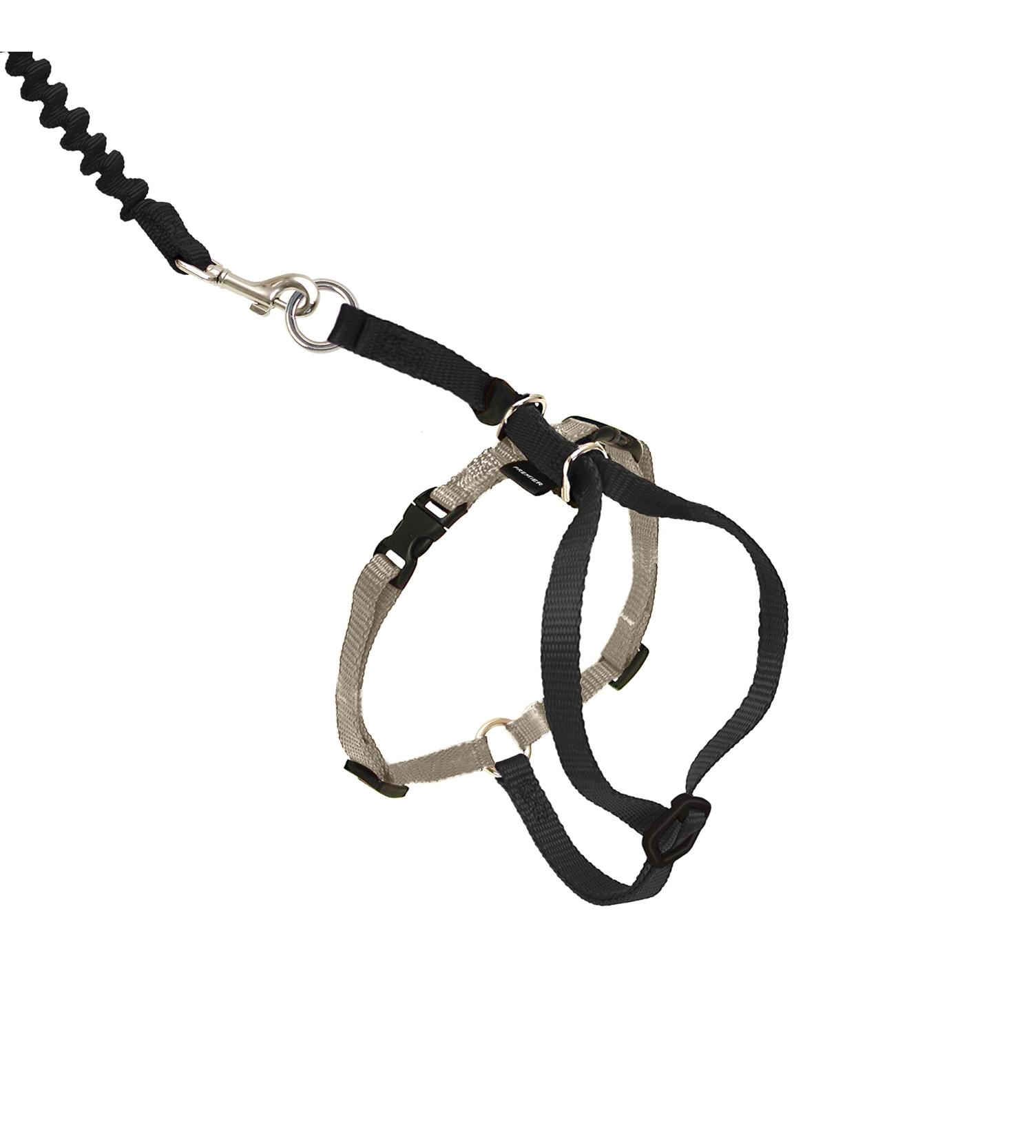 PetSafe Come with Me Kitty Harness & Bungee Leash for Cats Size M Black/Silver & Beige Perfect International Shipping - Buy Online on SooperMarket.com