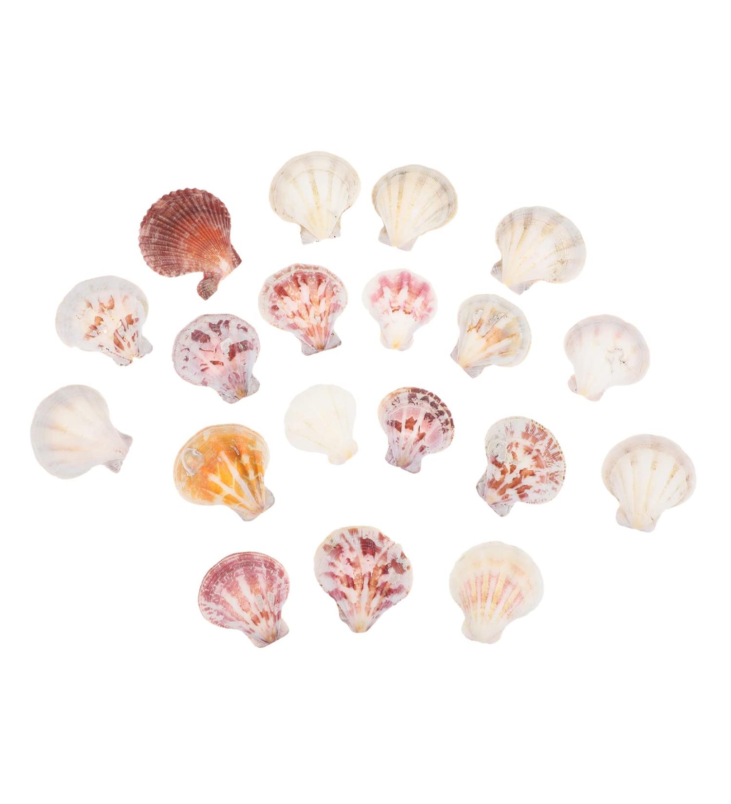 EXCEART Ocean Ornaments Toddler Jewelry- Make Beautiful Vibrant Decorations for The Home Living Room Dining Table. Present Ornaments - Buy Online on SooperMarket.com