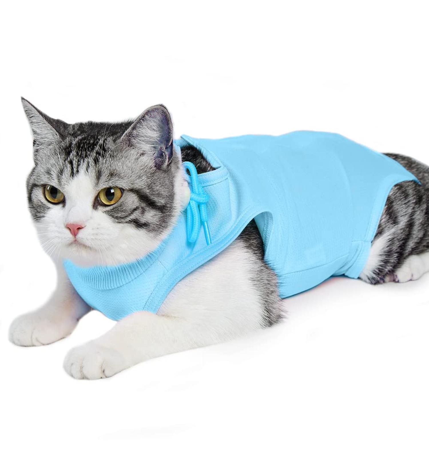 Easy Joy Recovery Suit for Cats | Postoperative Clothing for Belly Wounds | Soft Indoor Pet Apparel - Size L Blue - Buy Online on SooperMarket.com