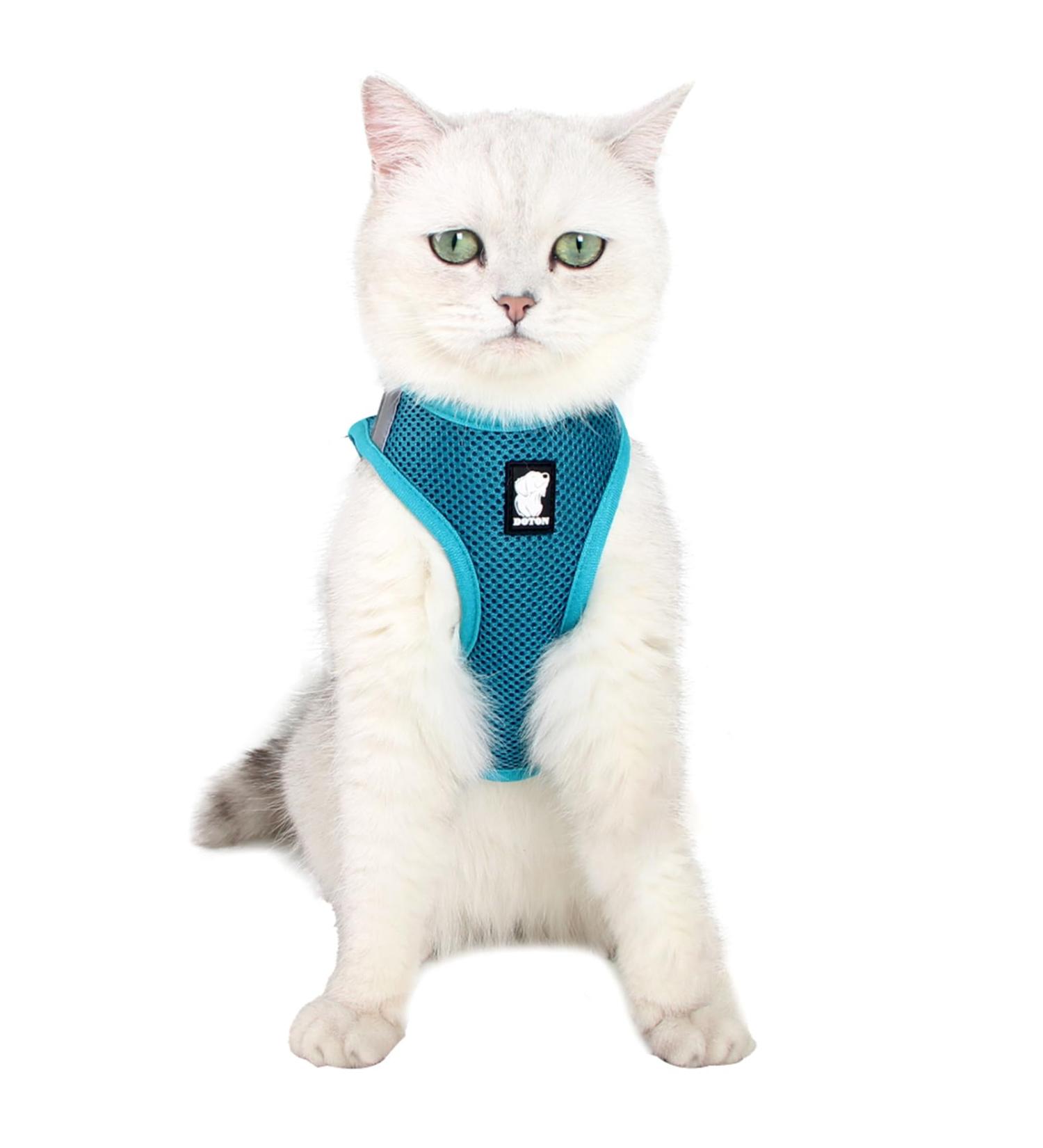 Shop Lianzimau Ultra Light Adjustable Cat Dishes & Escape Protection Running Vest for Kittens & Puppies - Turquoise | 1 Pack - Buy Online on SooperMarket.com