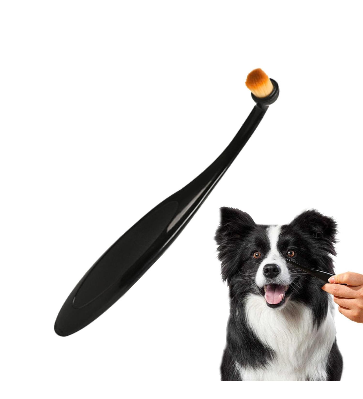 Professional Tear Stain Remover Powder & Applicator Brush for Dogs & Cats | Eye Care Comb for Pet Tear Stains - Buy Online on SooperMarket.com