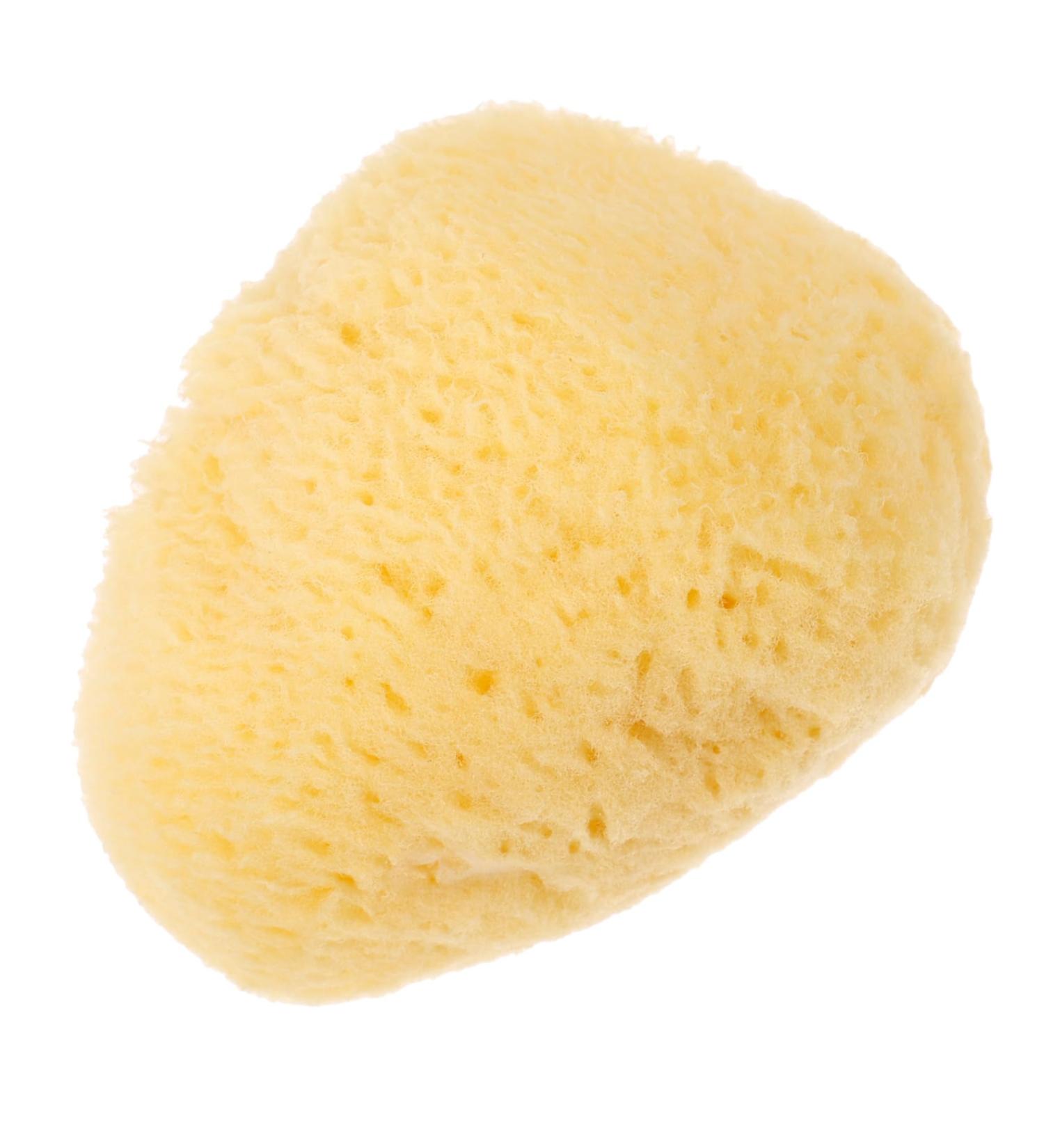Gogogmee Natural Sponge Greece Facial Supplies Professional Facial Cleansing Sponge Sponges for Facials Facial Sponges Face Cleaning Pad Sponges for Face Cleansing Sponges Face Sponge - Buy Online on SooperMarket.com