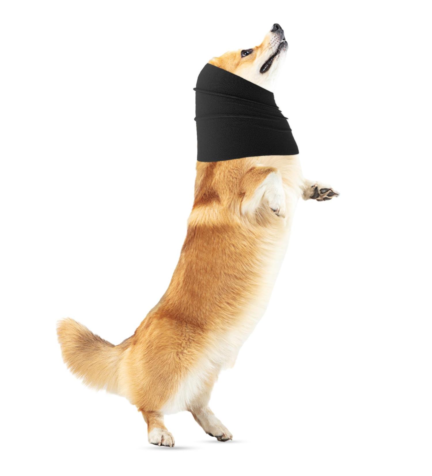 Amaxiu Dog Snood for Dog Neck and Ears Warmer Dog Ear Muffs Dog Neck and Ear Warmer Hood Pet Dog Snood Dogs Quiet Ear Covers Hood for Anxiety Relief Noise Protection Bathing Grooming(L Black) L Black - Buy Online on SooperMarket.com