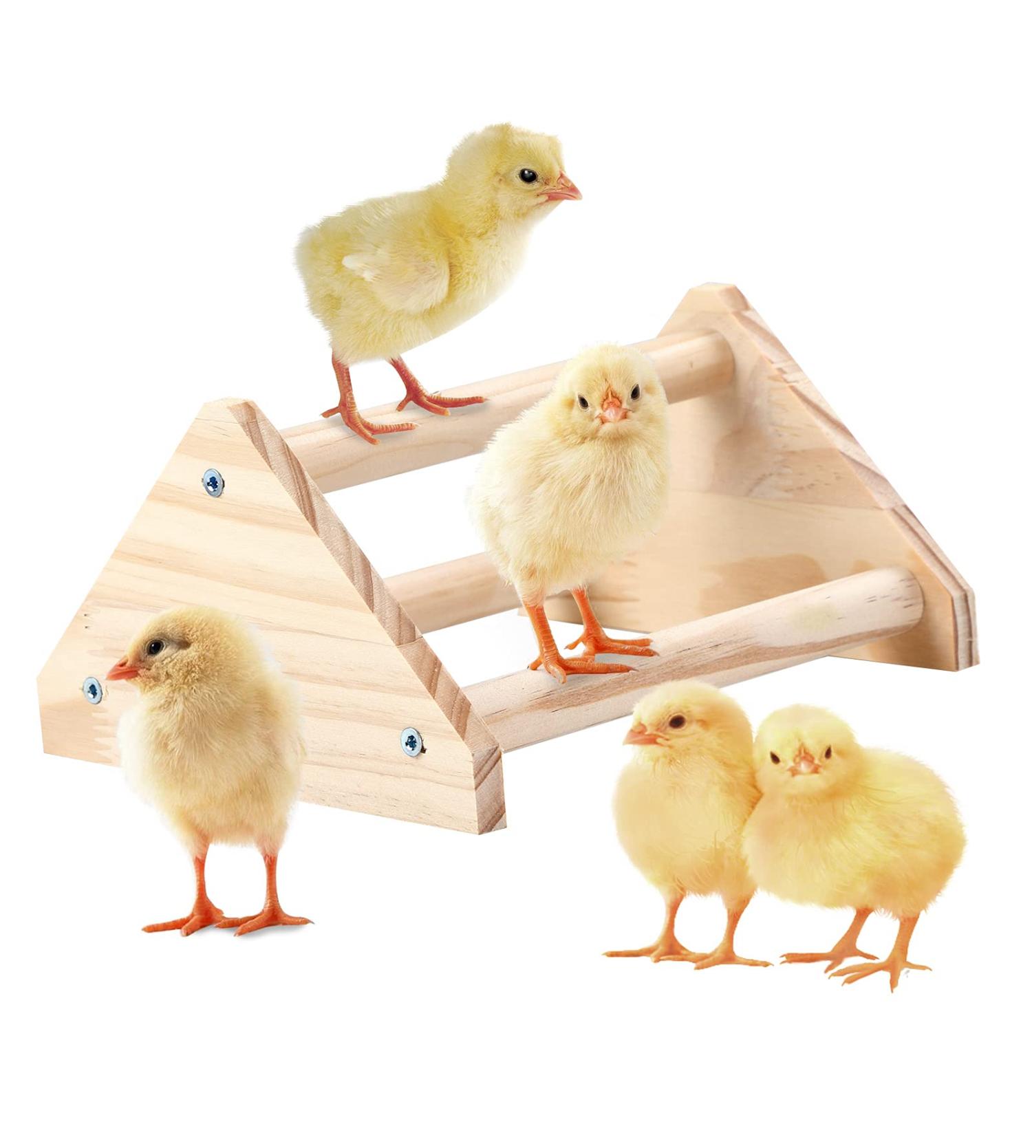 GINTUTO Pine Wooden Chick Jungle Gym Roosting Bar - Small Chicken Perch Toys for Coop and Brooder - Ideal for Large Bird Baby Chicks and Parrots - Buy Online on SooperMarket.com