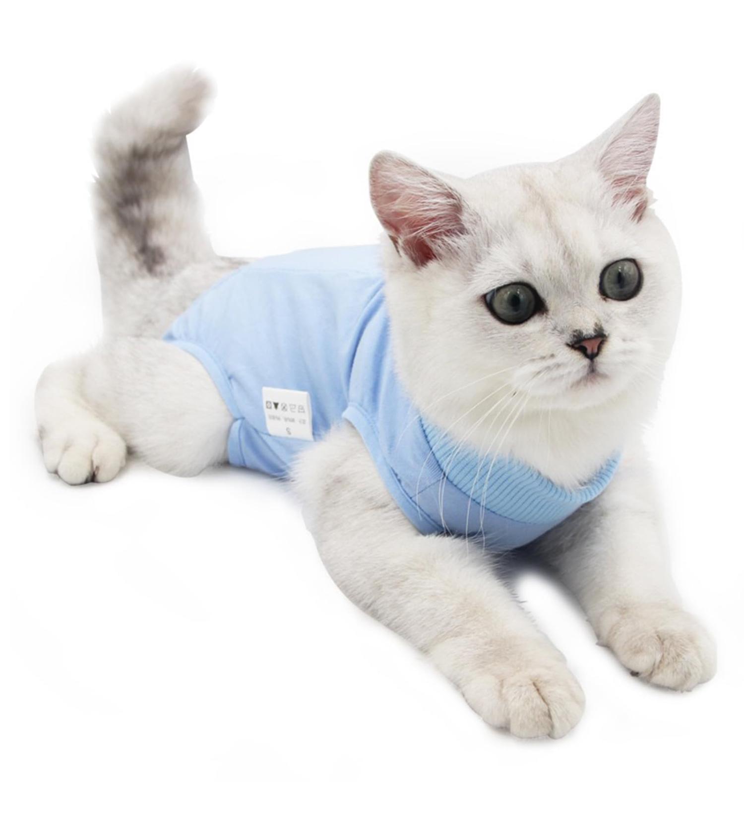 Cat Recovery Suit Cat Professional Recovery Suit for Abdominal Wounds or Skin Diseases After Surgery E-Collar Alternative for Cats Anti Licking Pajama Suit Kittesn Surgery Recovery Suit(Blue L Size) - Buy Online on SooperMarket.com