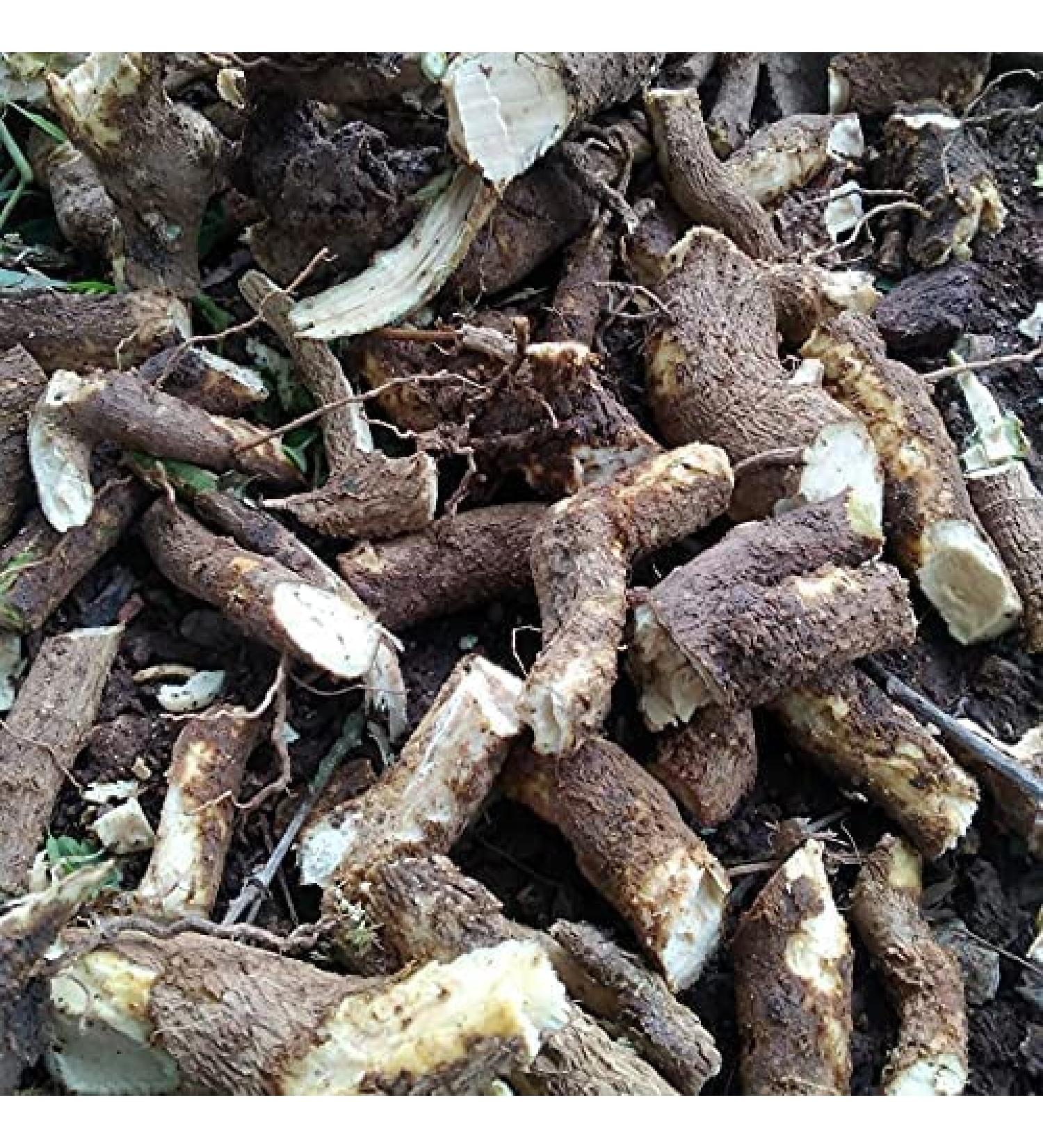 CROV Xetomos Pushkarmool Inula racemosa 250g Other Names are Pushkarmool pushkarmool Orris Root inula racemosa Pokharmool Puskara mula Pohakarmul Puskar Pushkaramoola