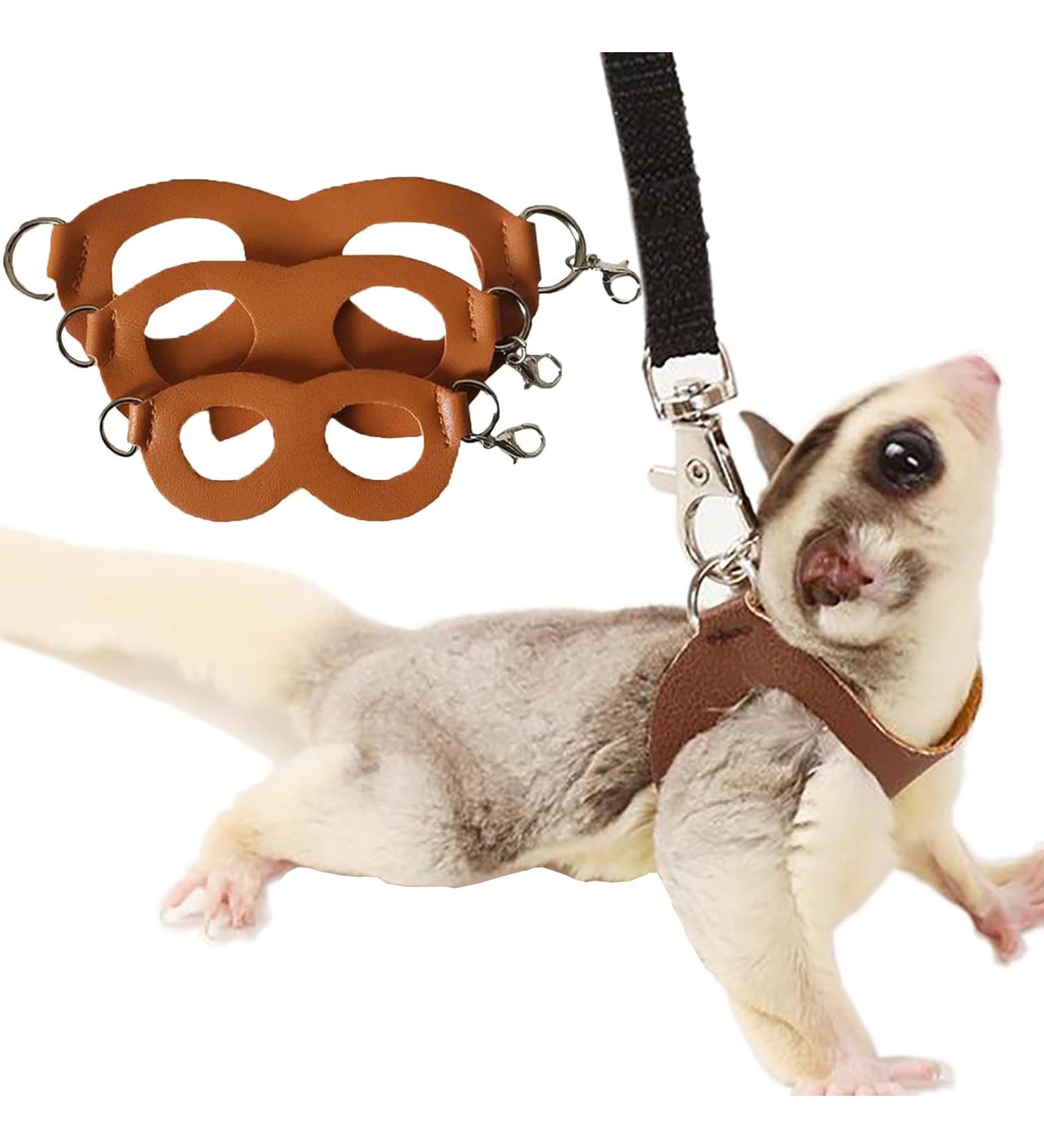 3 Pack Sugar Glider Harness and Lead Set Small Animal Training Walking Vest for Squirrel Hamster Rat (Brown) - Buy Online on SooperMarket.com