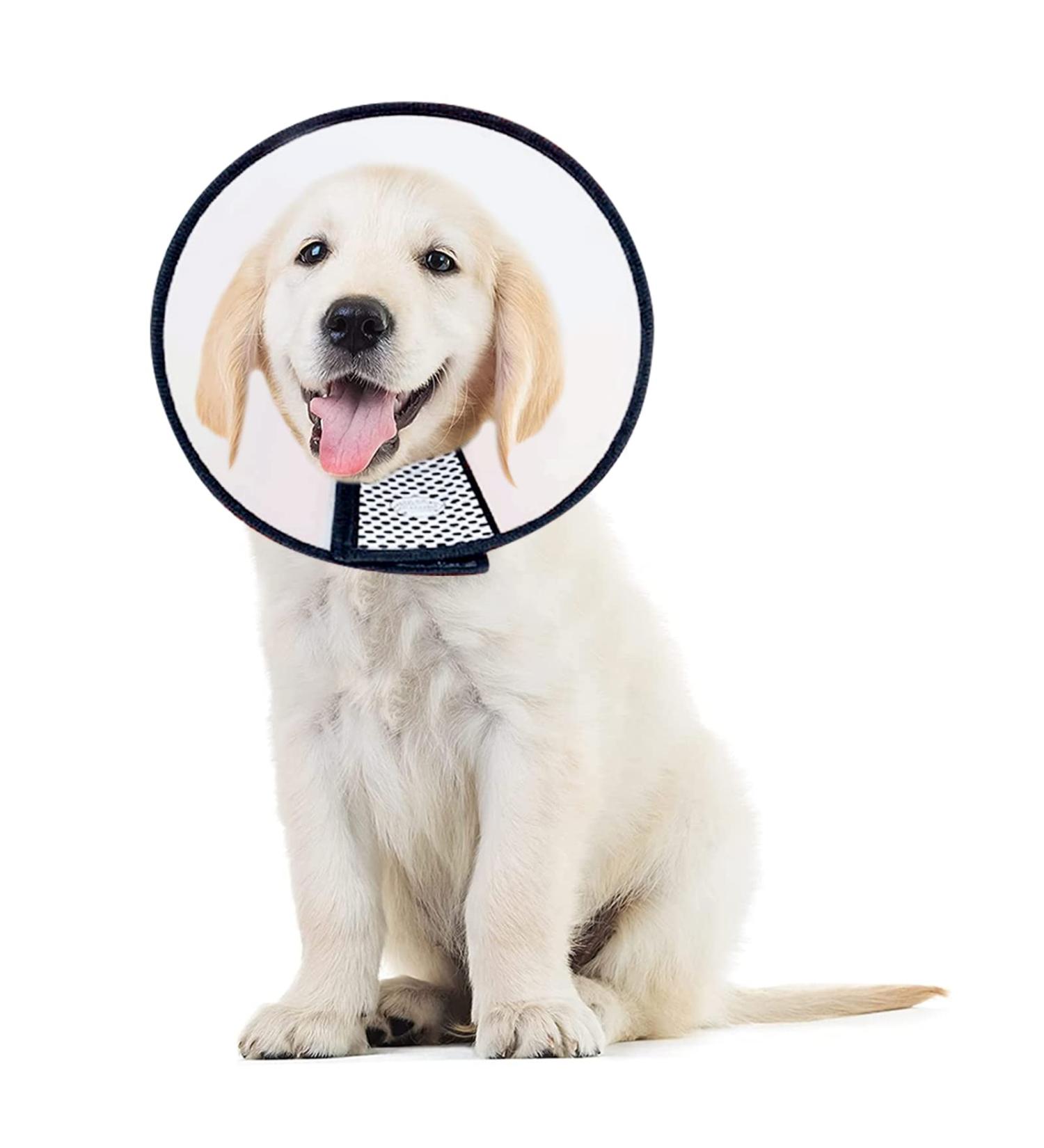 Adjustable Pet Cone Collar for Large Dogs | Lightweight Elizabethan Protective Collar (43.5-50CM) - Shop Now! - Buy Online on SooperMarket.com