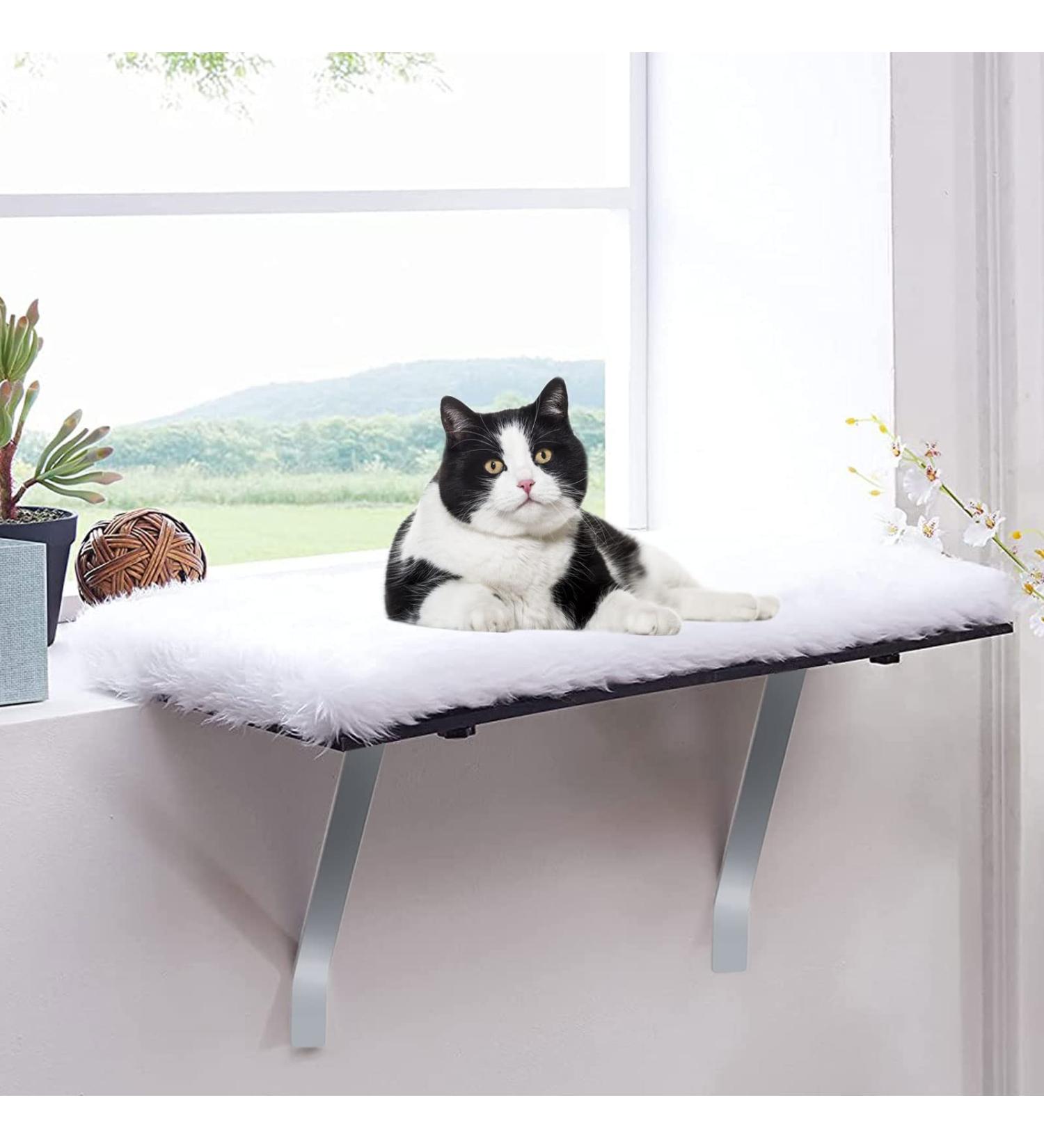 Kphico Cat Window Perch Hammock Seat for Large Indoor Cats - Space Saving Bed for All-Around Sunbath | A-White-Cat Window Shelf - Buy Online on SooperMarket.com