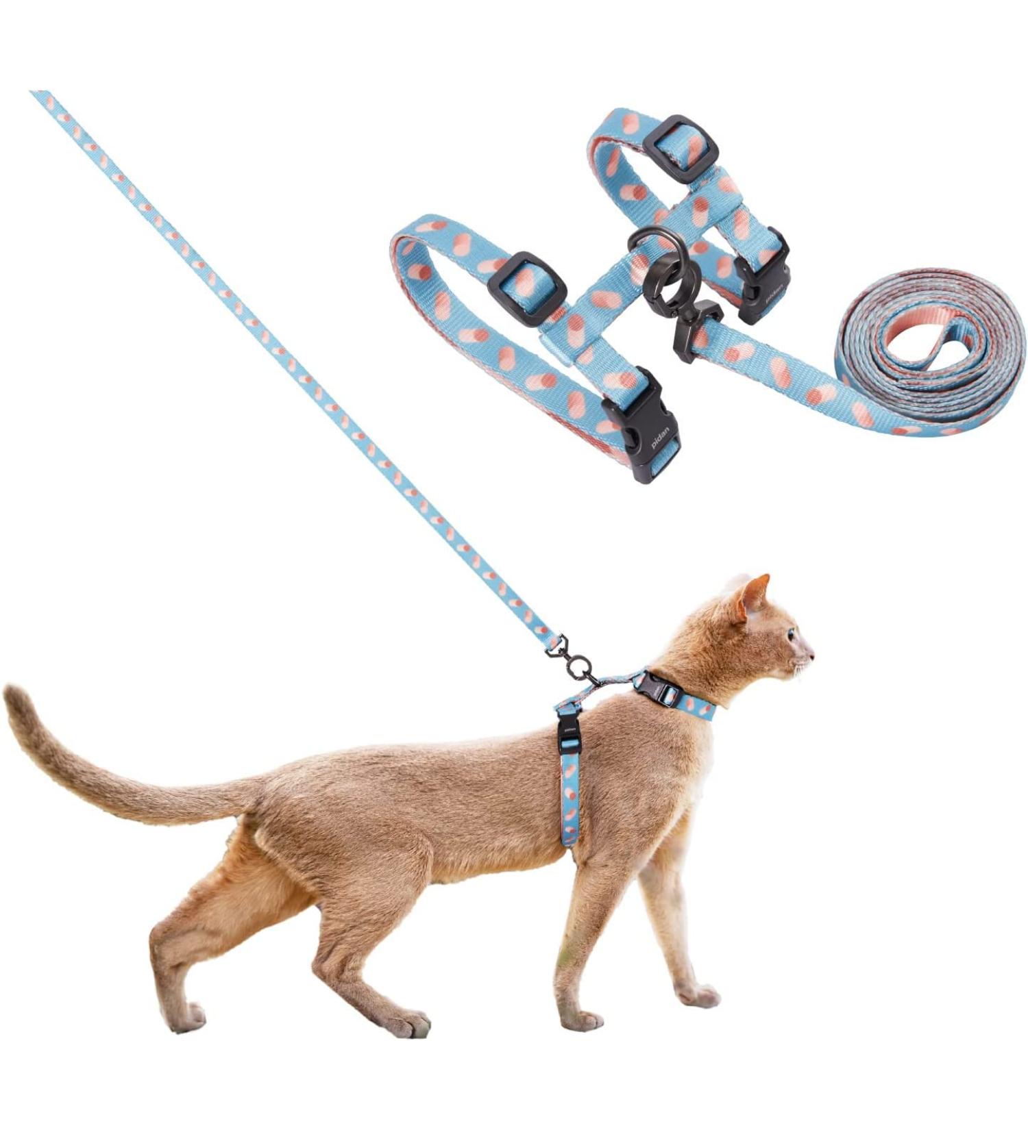 Pidan Cat Dishes & Leash | Adjustable Travel Cat Bowls for Large & Small Cats | Pet-Safe Lightweight Soft Design - Blue - Buy Online on SooperMarket.com