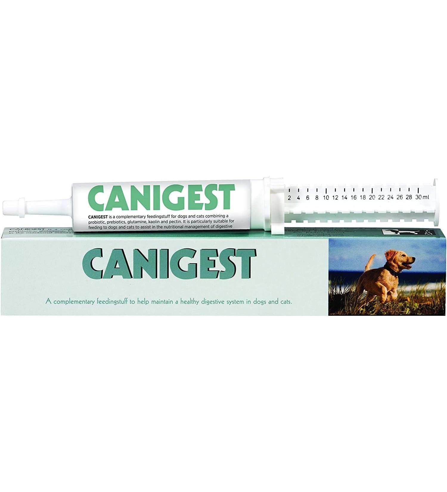 CANIGEST Probiotic Paste for Cats and Dogs - 30ml | Easy-to-Administer Tummy Settler with Probiotics, Prebiotic, Glutamine, Kaolin & Pectin - Buy Online on SooperMarket.com