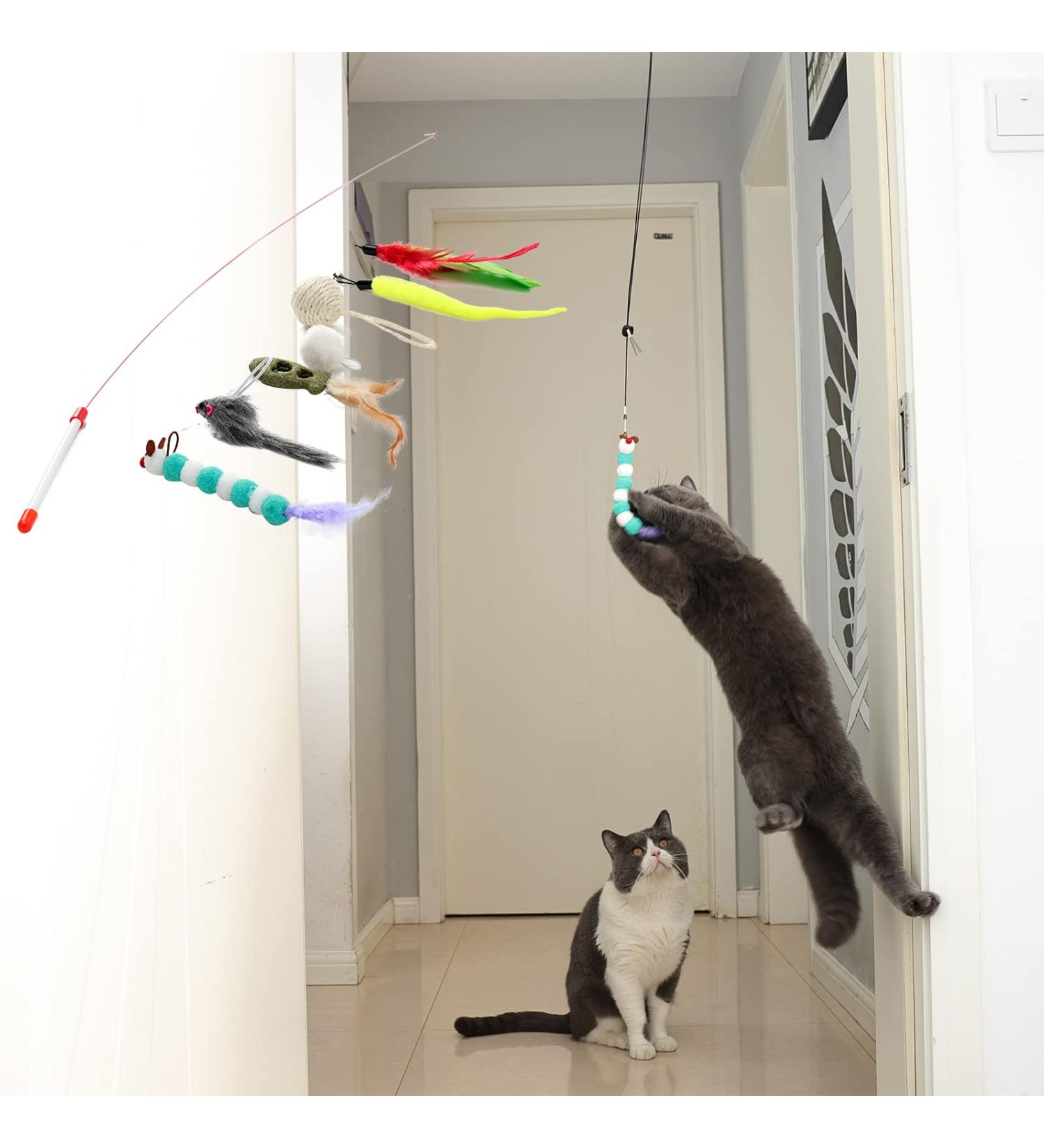 CZPET Cat Toys Set - Interactive Kitten Exercise Toys with Replaceable Door, Cat Teaser Stick, Puzzle Toys, Catnip Feather, and Mouse Toys - 9PCS - Buy Online on SooperMarket.com