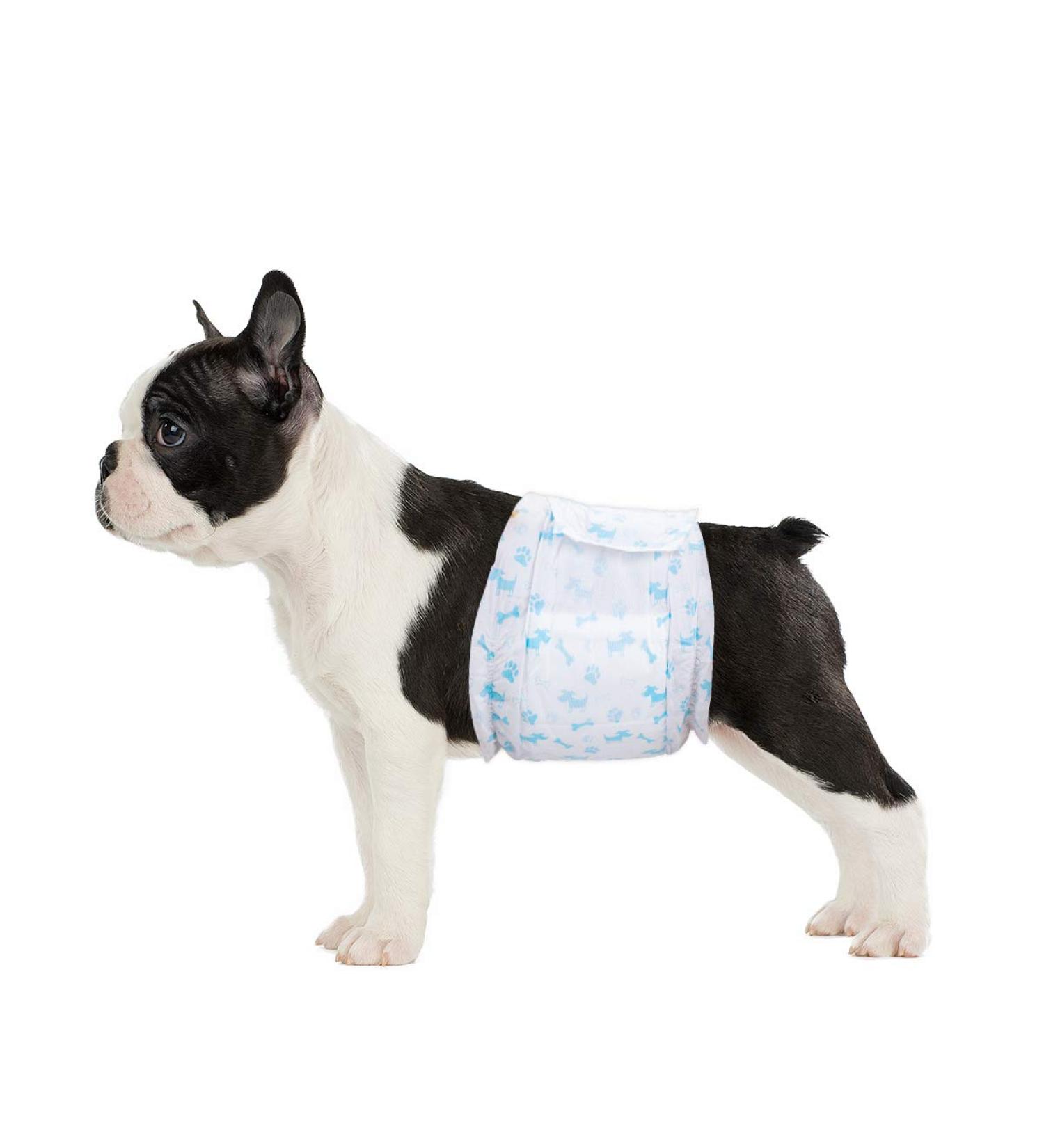 24 Pack S Disposable Dog Diapers for Male Dogs - Fits Waist 30-48cm | Small White - Premium Absorbent & Leakproof - Buy Online on SooperMarket.com