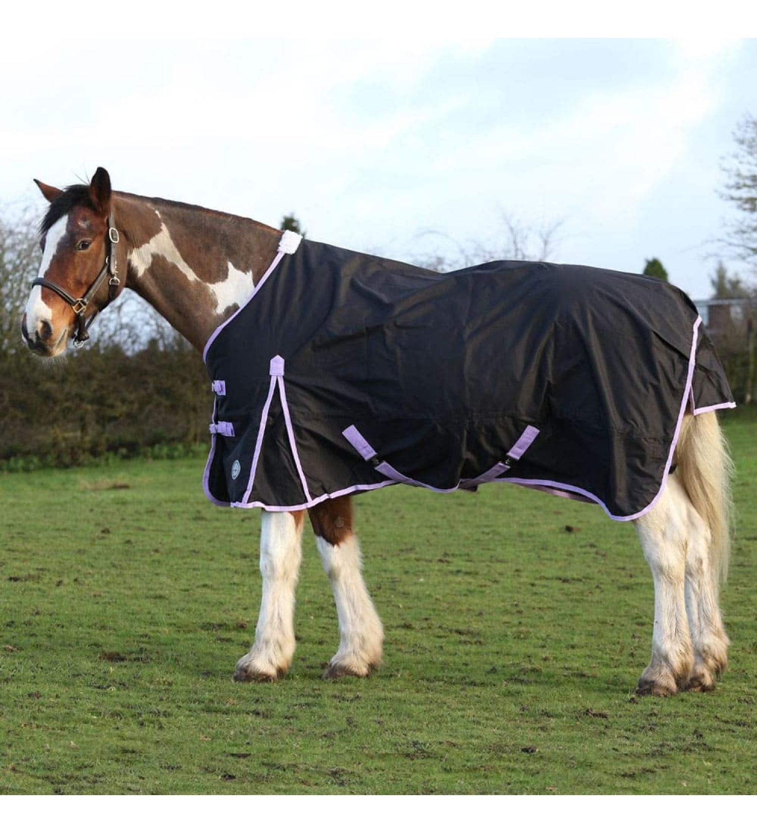 AUTUMNN EQUESTRIAN 50G FILL HORSE TURNOUT RUG LIGHTWEIGHT STANDARD NECK HORSE RUG WATERPROOF 600D HORSE RUG (5'9'') - Buy Online on SooperMarket.com
