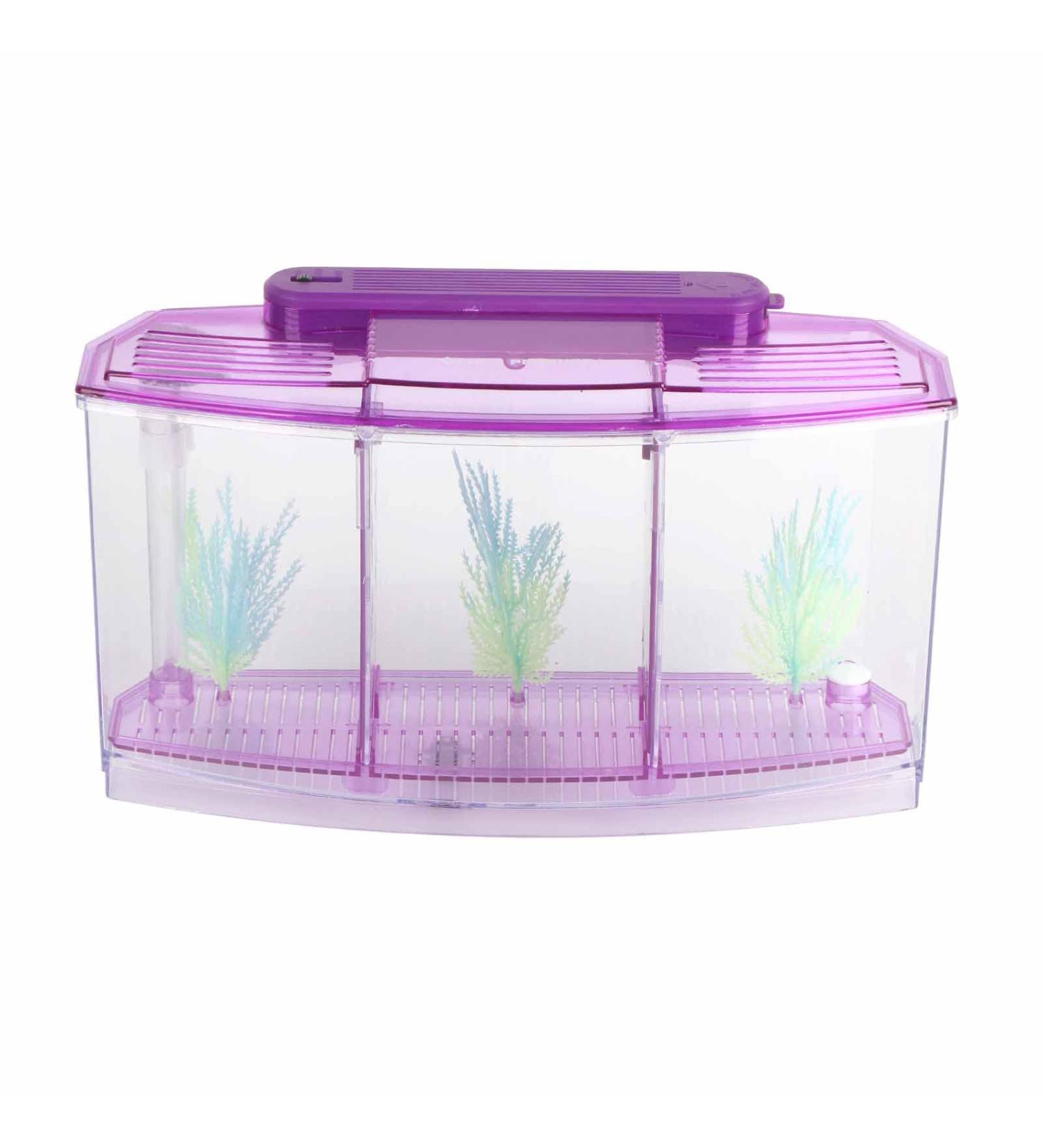 Aquarium Fish Tank Transparent Aquarium Fish Tank LED Acrylic Three Divisions Breeding Isolation Box for Small Fishes Mini Breeding Fish Tank (Purple) - Buy Online on SooperMarket.com