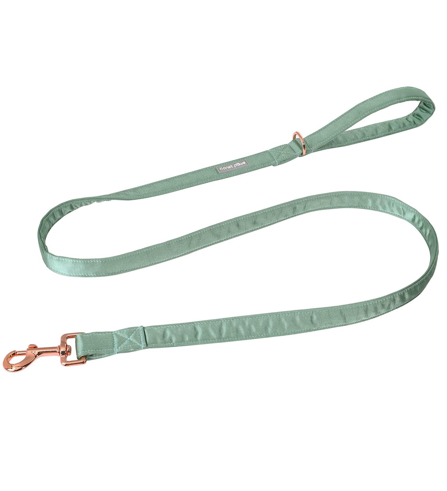 Lionet Paws Dog Leash - Premium Silk Leash for Small Medium & Large Dogs | Matching Collars for Boys & Girls | Grassy Design (1 Pack) - Buy Online on SooperMarket.com