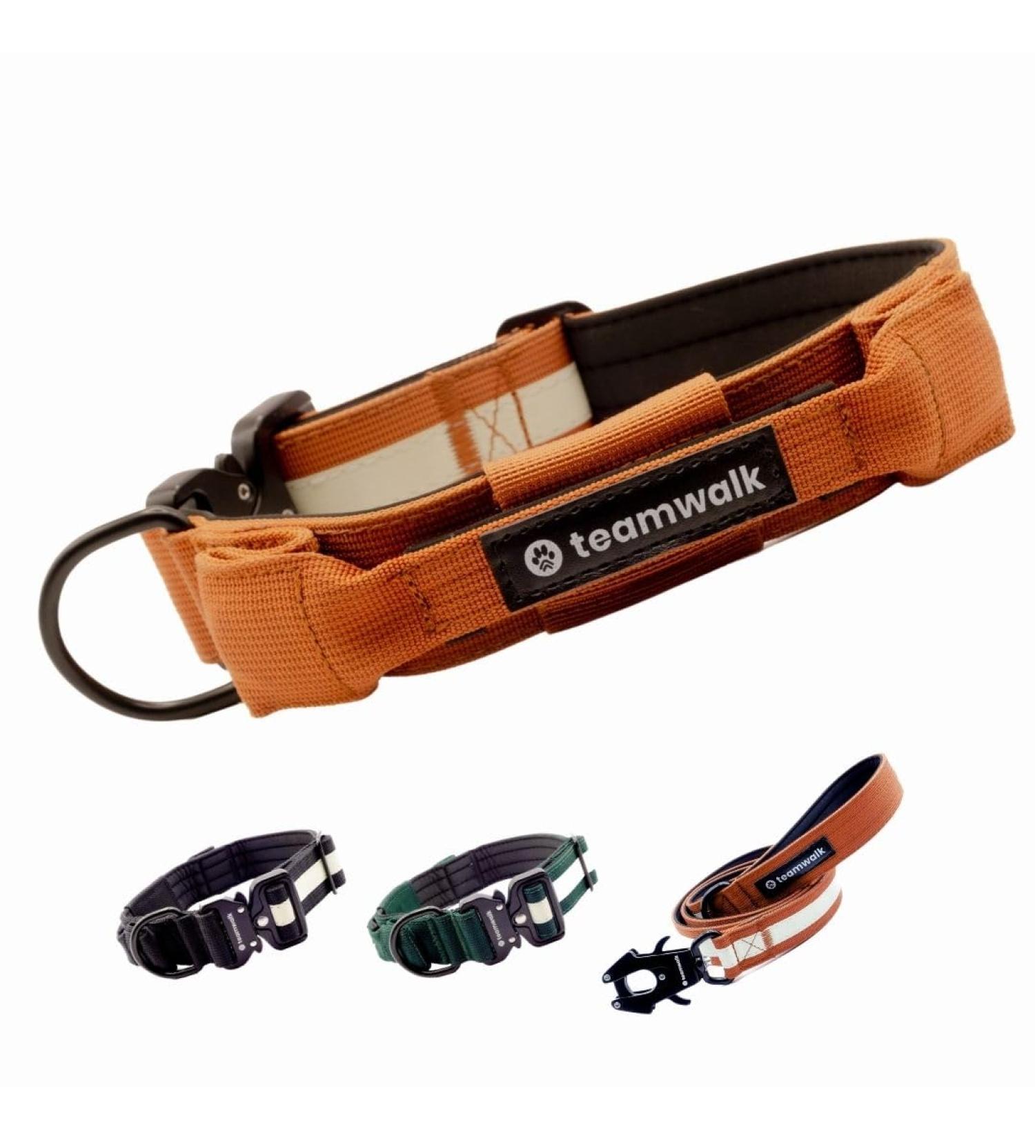 Teamwalk Premium Dog Collar - Adjustable Magnetic Handle Light Strip Air Tag Bag Soft Upholstery & Robust Buckle - Rust Red (Small 4cm) - Buy Online on SooperMarket.com