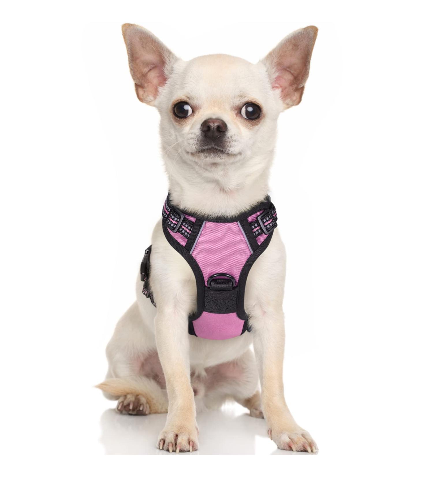 Rabbitgoo No-Pull Dog Harness for Small Dogs - Adjustable & Breathable with Reflective Stripes - Safe Control Breast Harness for Large Dogs - Pink XS (1 Pack) - Buy Online on SooperMarket.com