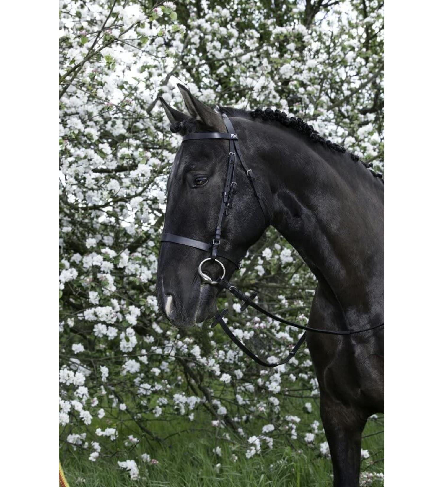 Riving World Bridon French Noseband Black Pony
