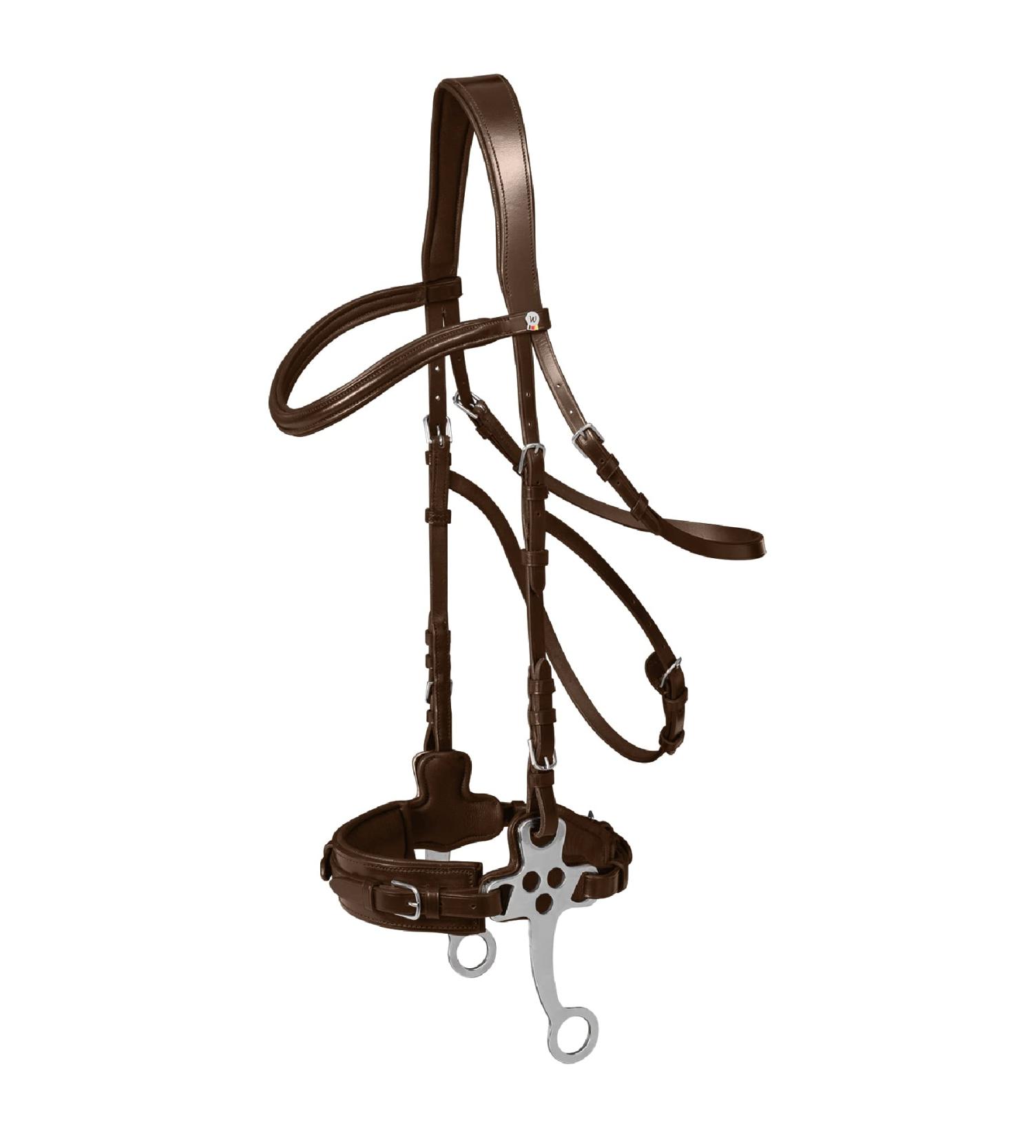 WALDHAUSEN X-Line Hackamore Bridle - Dark Brown Stainless Steel for Warmbloods - Full Size | Premium Horse Gear - Buy Online on SooperMarket.com